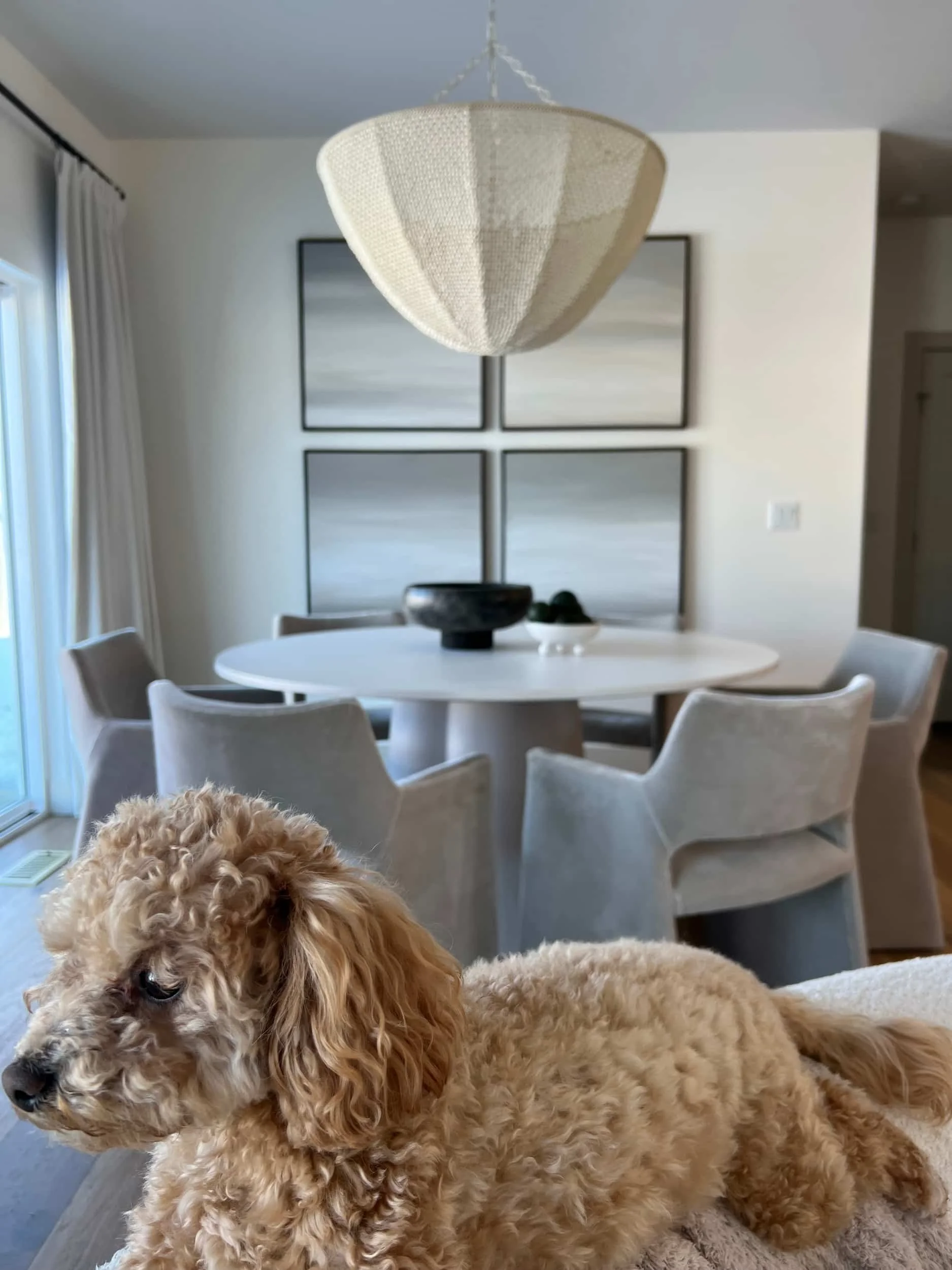 Round white dining table surrounded by neutral upholstered chairs, featuring a large fabric globe pendant light and four square abstract paintings. A light brown poodle dog rests on the seat in the foreground.