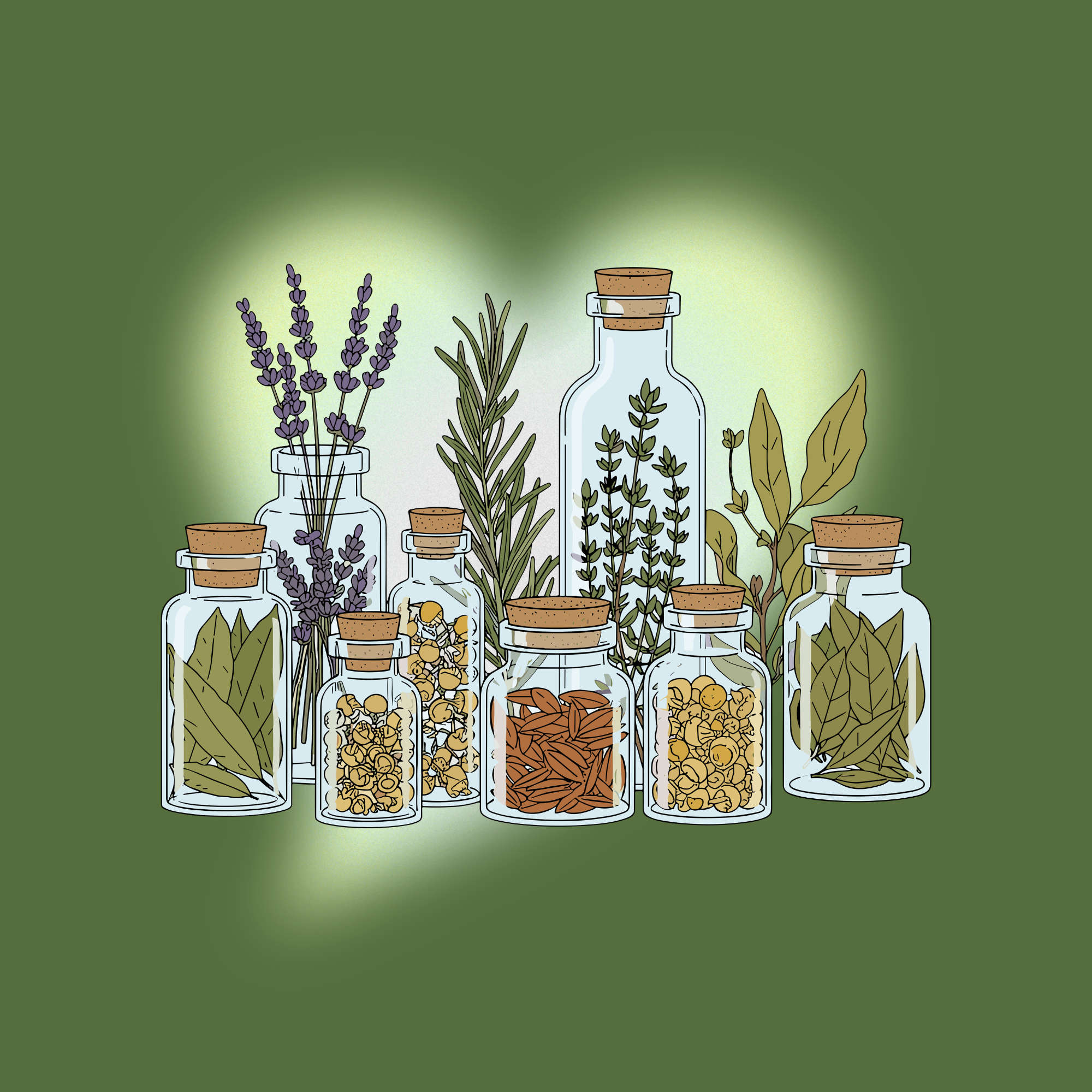 🌿 Quick Guide to Herbs