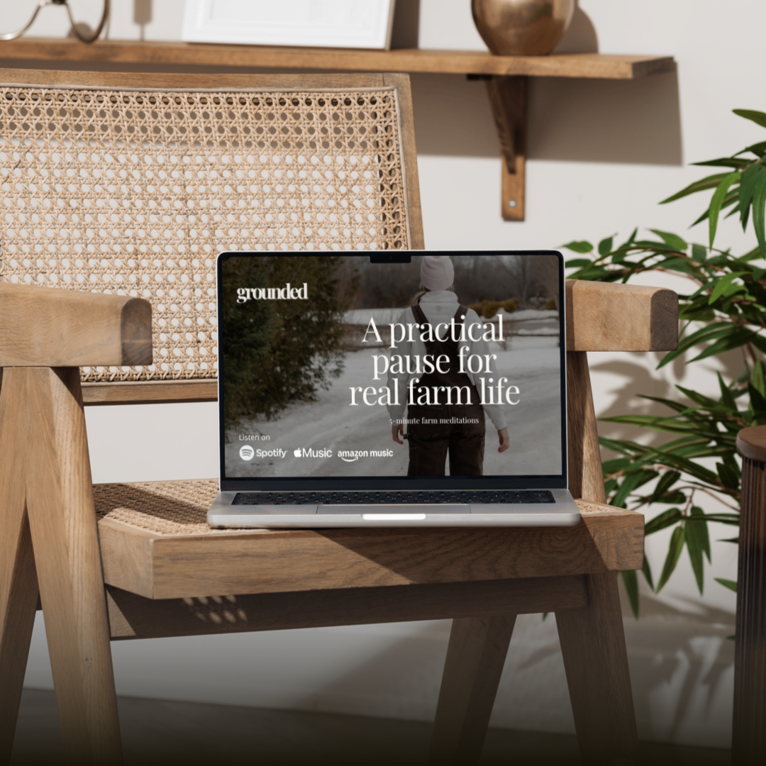 newsletter images & copy