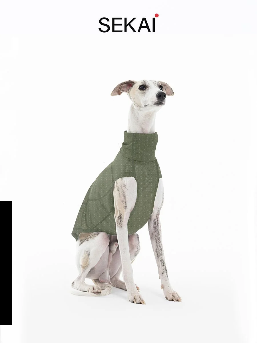 绿色长图01.jpg (Copy)