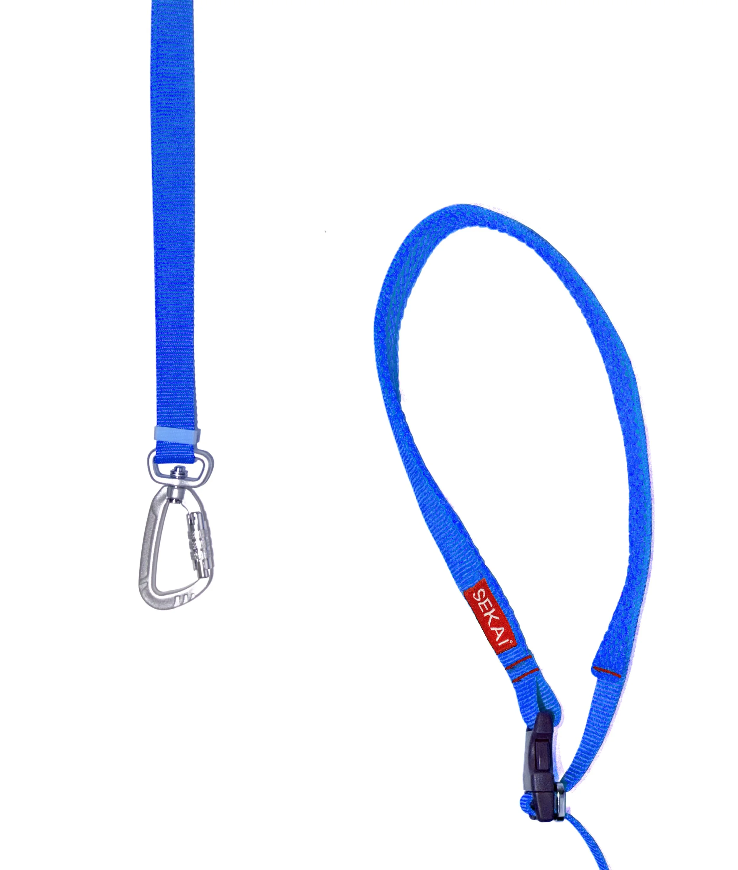 Dog wearing the SEKAIPET Circuit Blue adjustable technical dog leash and matching collar in a clean urban-inspired studio image.