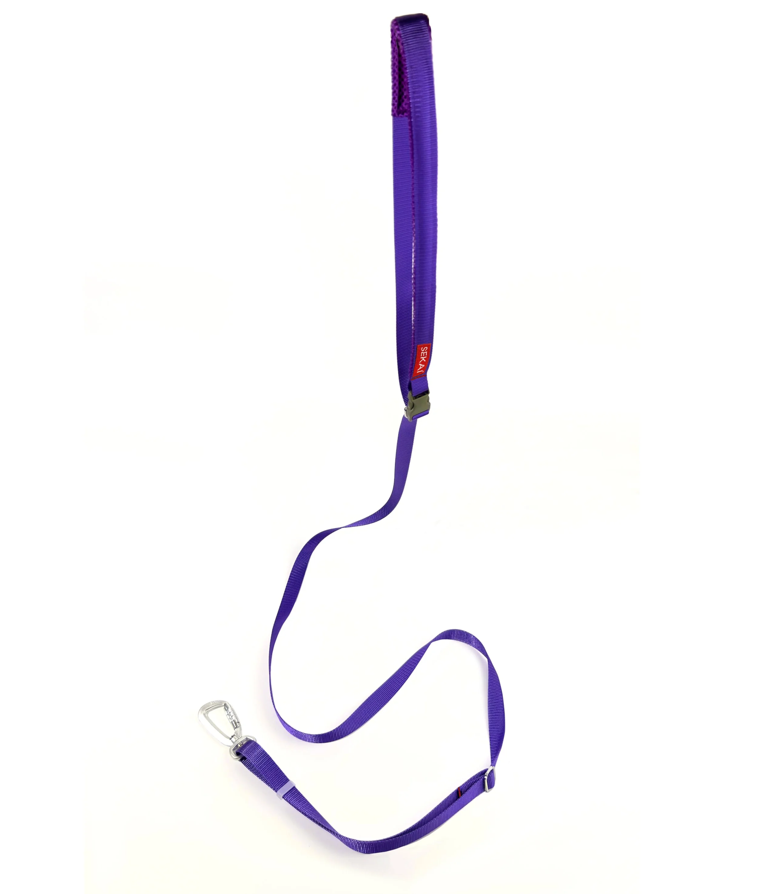 Dog wearing the SEKAIPET Night Violet hands-free technical leash and matching collar with metal locking hardware.