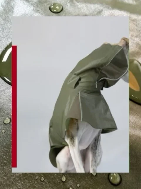For extreme weather conditions and high-intensity outdoor activities, the @sekaipet_official RAINDROPS&trade; High-Performance Protective Raincoat delivers the answer.
3-Layer GORE-TEX&reg; PRO Composite Fabric: A 70D high-density nylon Taslan outer 