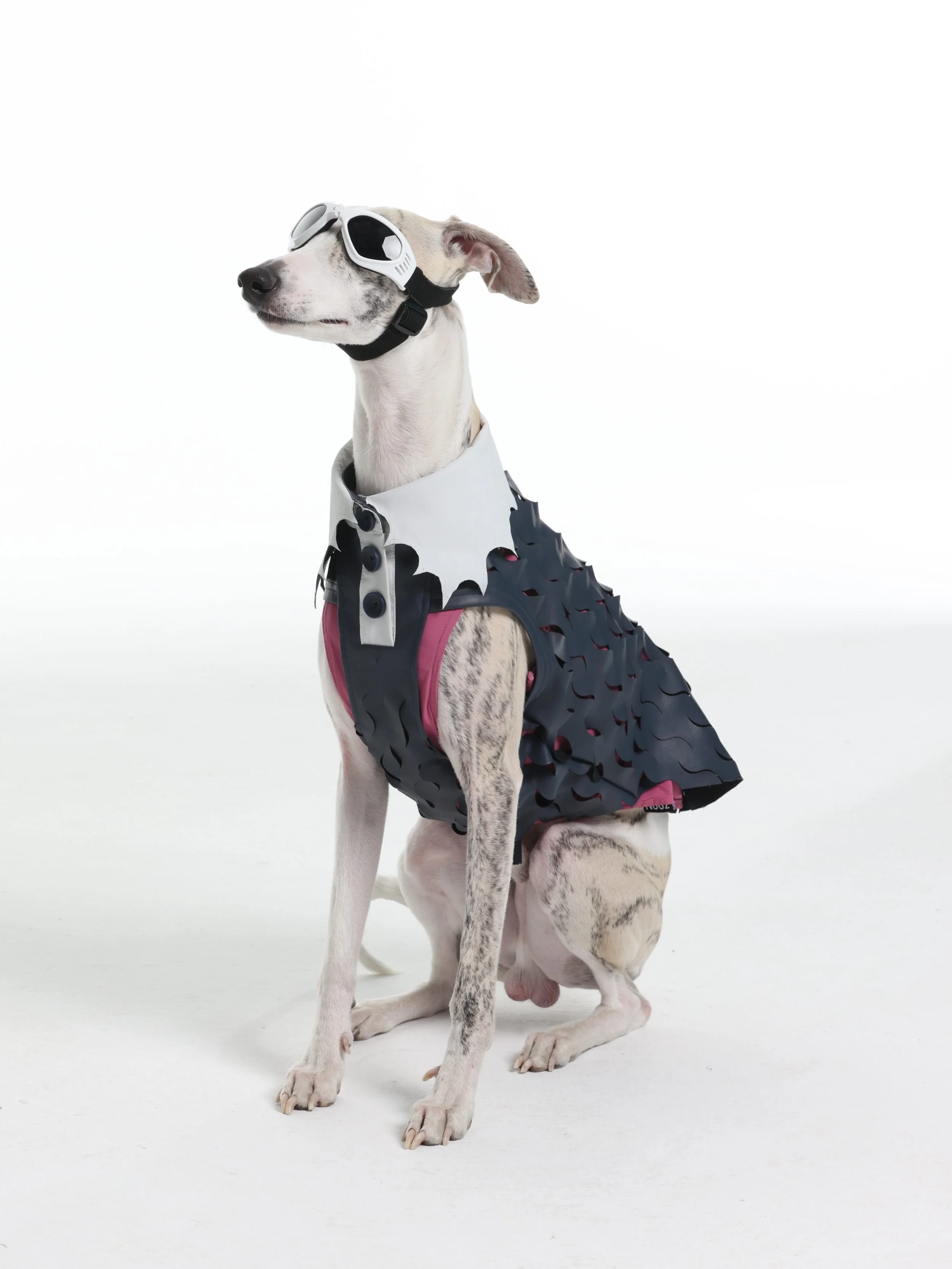 ELASTIC LASER CUTTING VEST.

Precision laser-cut ECONYL&reg; regenerated leather.
Dynamic tension. Multi-layered structure.

A new syntax for sighthound movement.

[sekai-official.store]
