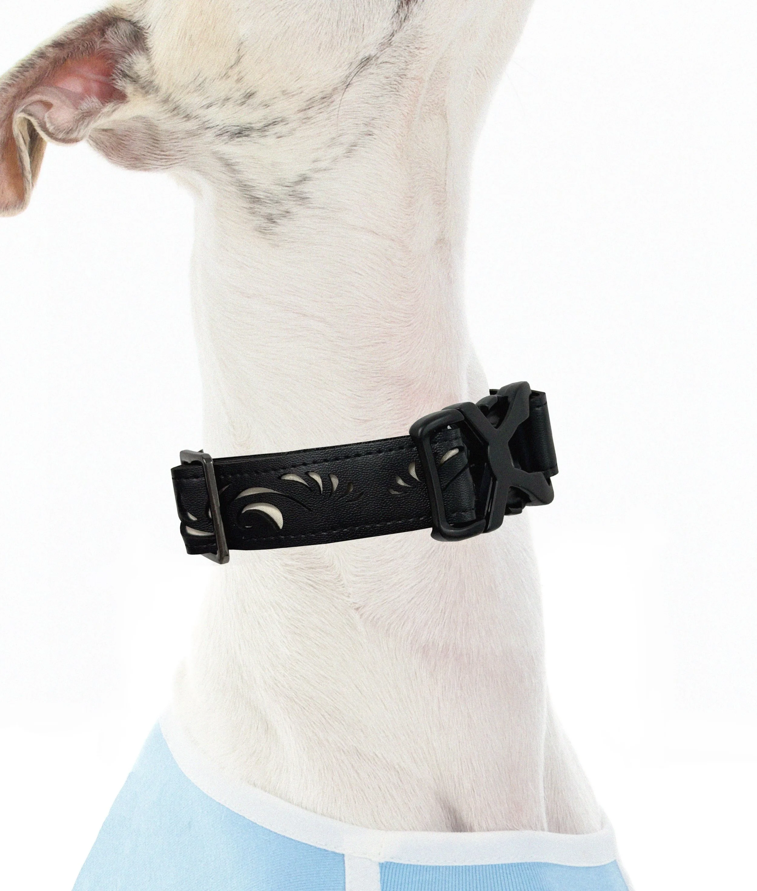 Cut differently.
A clean black collar defined by precision-cut details and a technical silhouette. Made for dogs with their own point of view.
Meet the new SEKAIPET Laser-Cut Collar.
Available now via the link in bio.