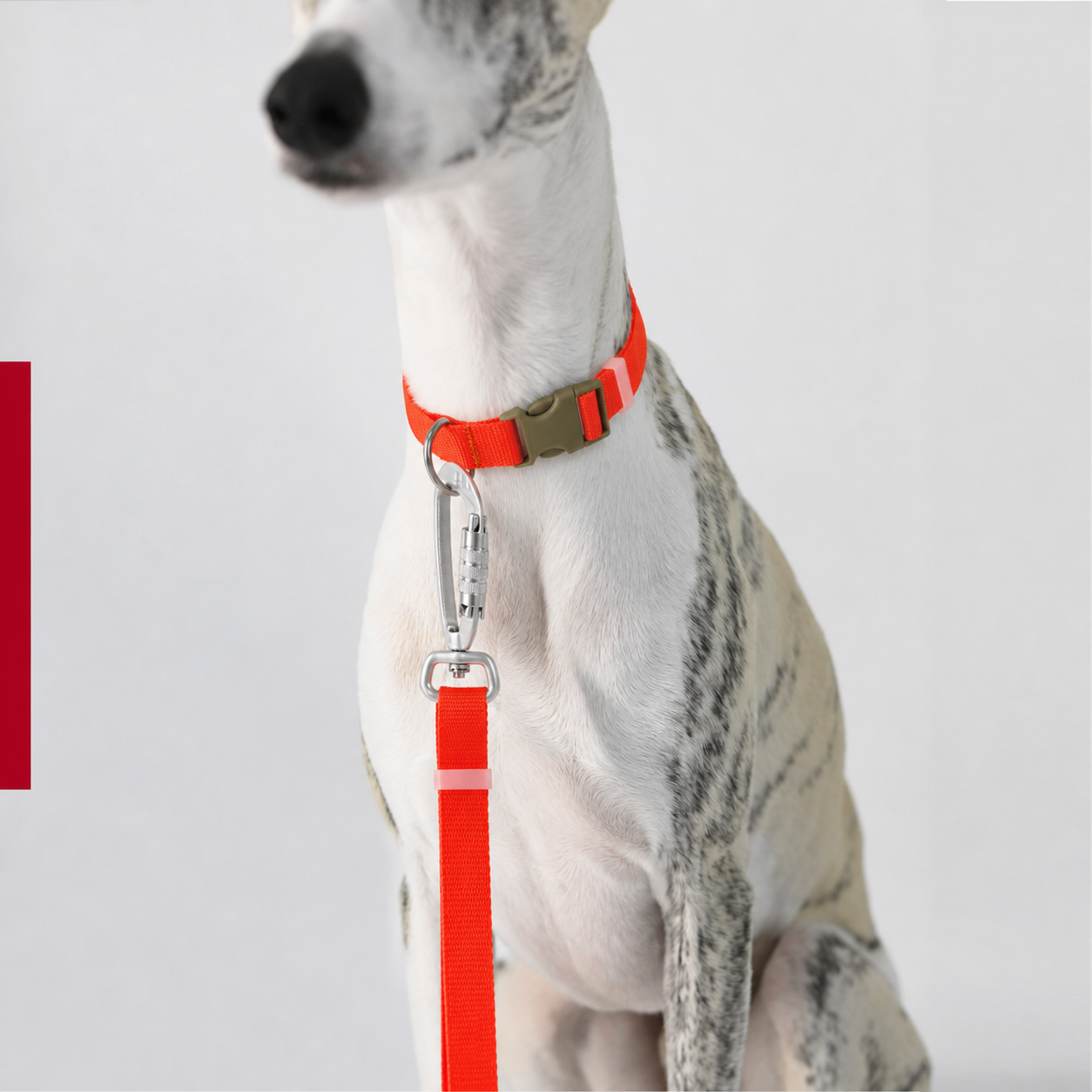 SEKAIPET ESSENTIAL LEASH — SIGNAL ORANGE