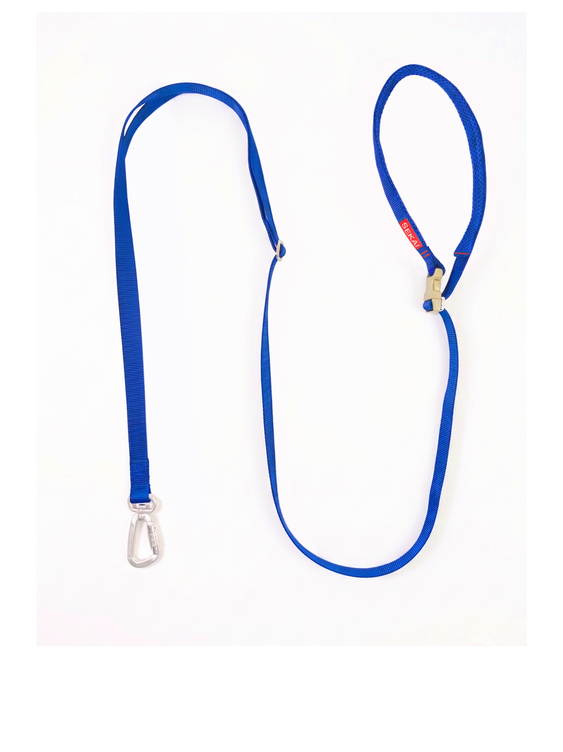 Dog wearing the SEKAIPET Circuit Blue adjustable technical dog leash and matching collar in a clean urban-inspired studio image.