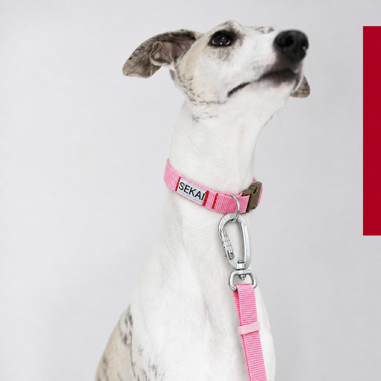 SEKAIPET ESSENTIAL LEASH — PALE FLUX