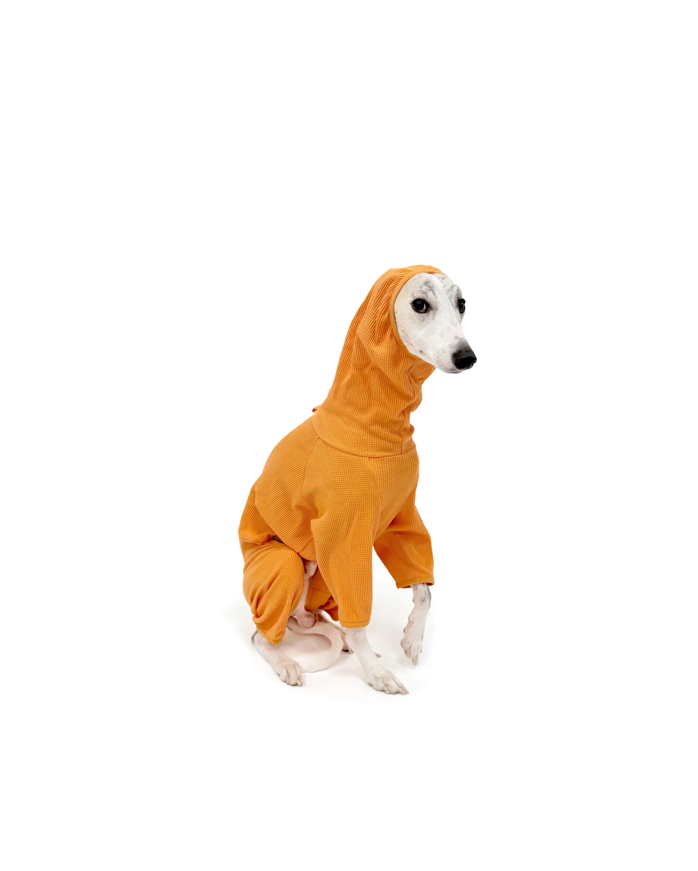 Orange Clementine waffle texture dog onesie, breathable cotton outfit for sighthounds