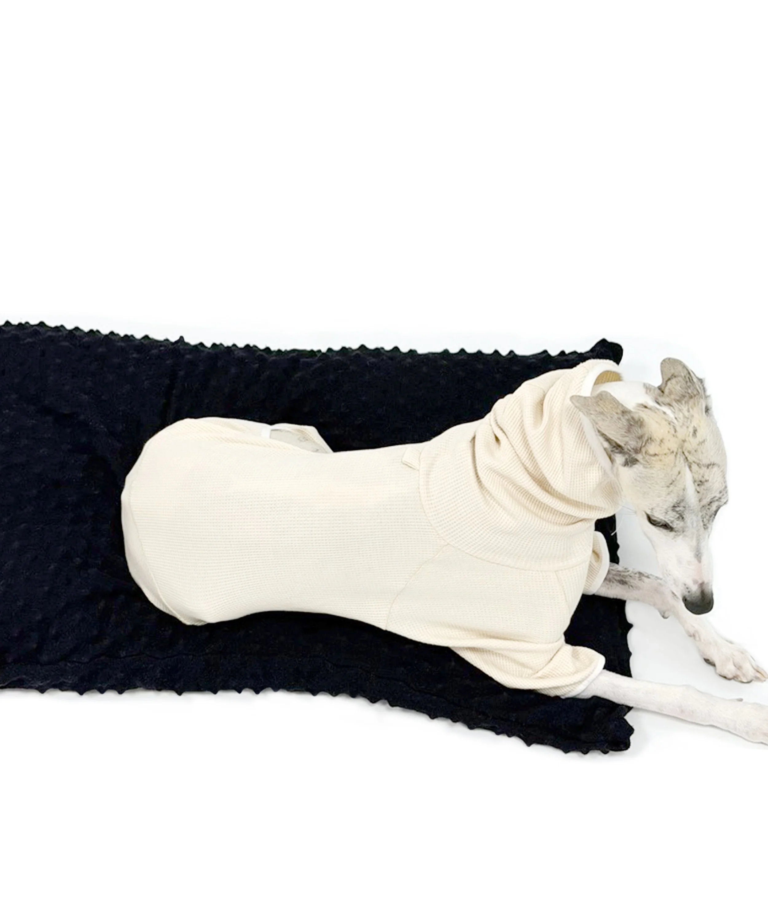 Dog lying across the black textured Urchin Knit Bed on a white studio background.