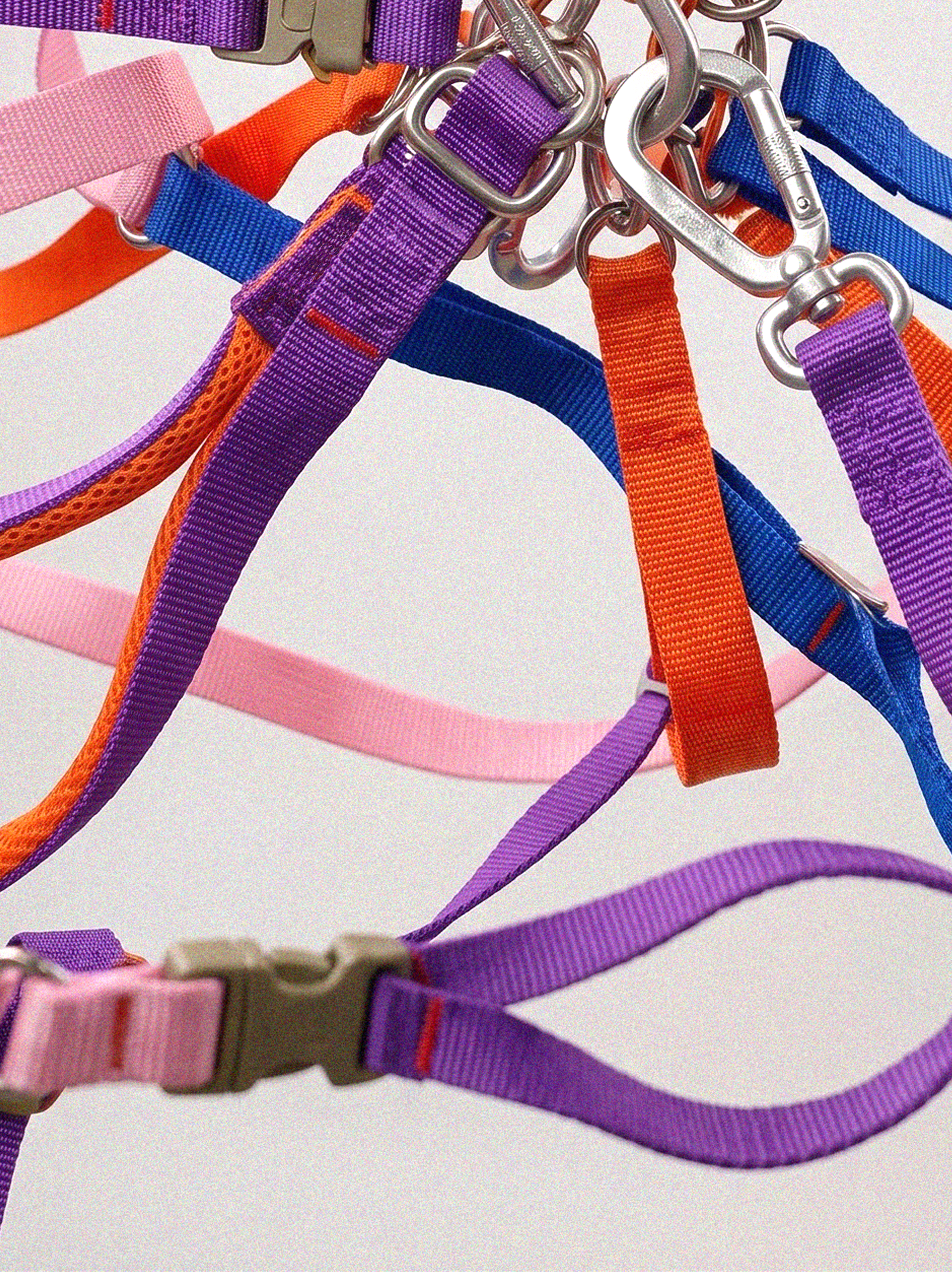 Dog wearing the SEKAIPET Circuit Blue adjustable technical dog leash and matching collar in a clean urban-inspired studio image.