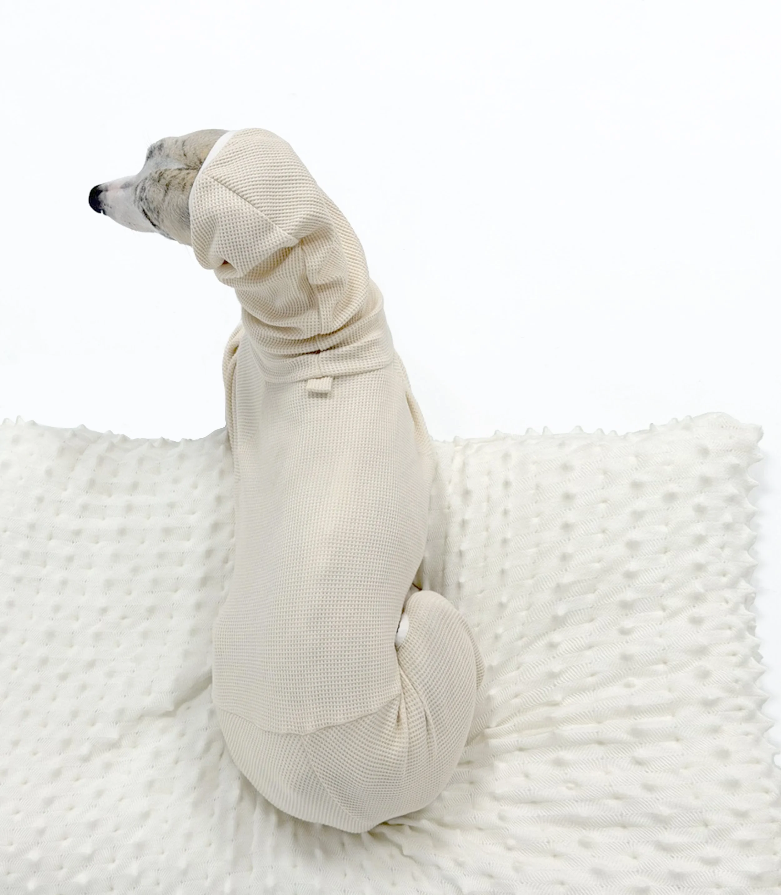 Beige Oatmeal waffle knit dog romper flat lay, 100% cotton bodysuit for Italian Greyhounds