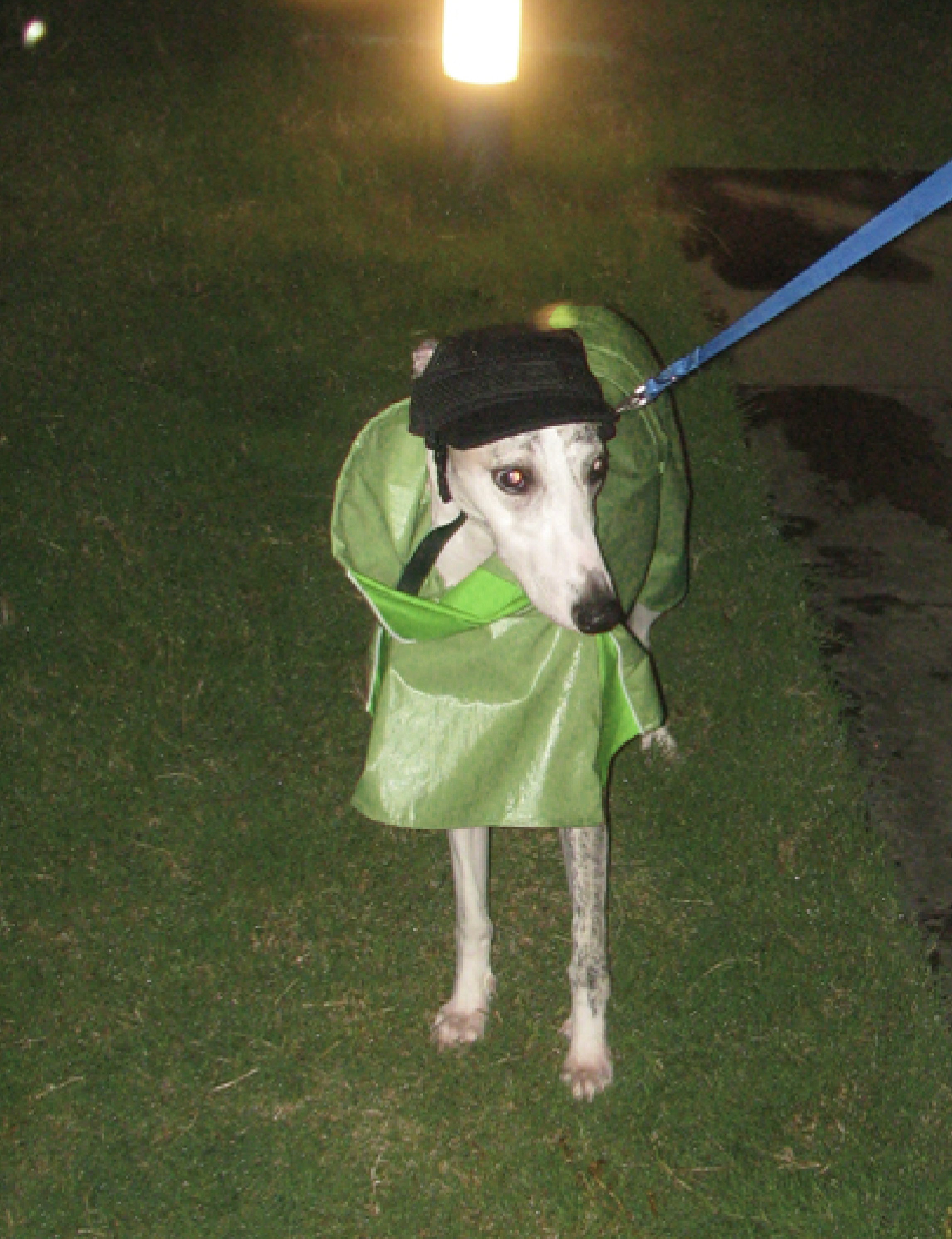 🟥OUTDOOR PLAID - RAINDROPS