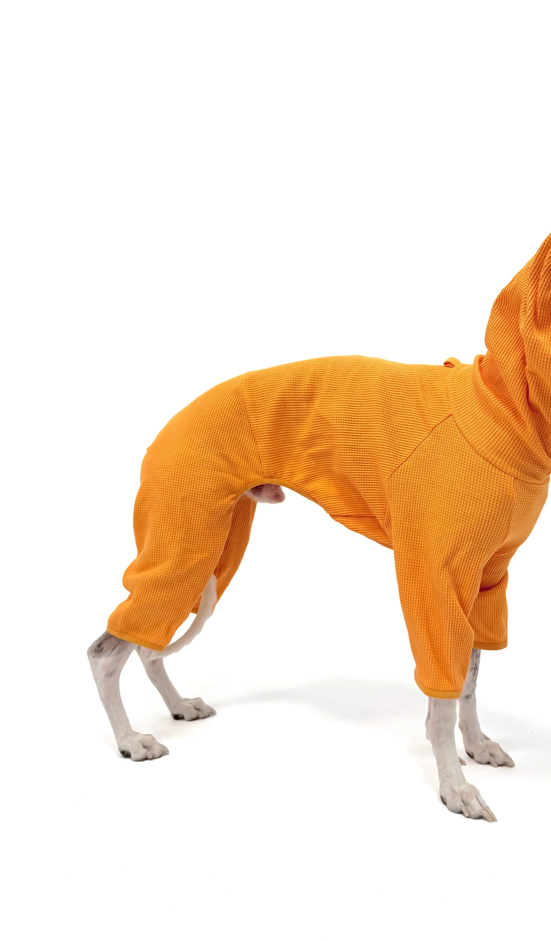 ⬛The Essential Waffle Romper（Clementine）