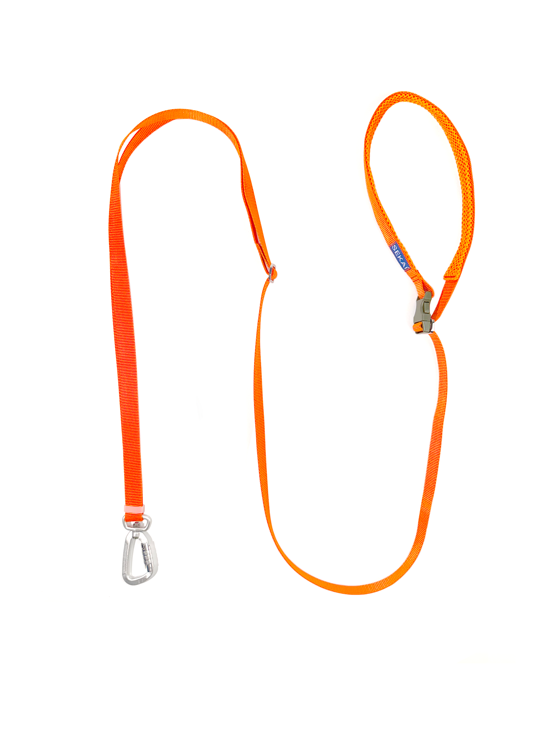 Dog wearing the SEKAIPET Circuit Blue adjustable technical dog leash and matching collar in a clean urban-inspired studio image.