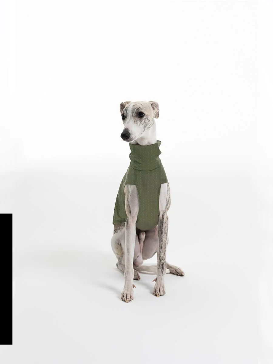 绿色长图03.jpg (Copy)