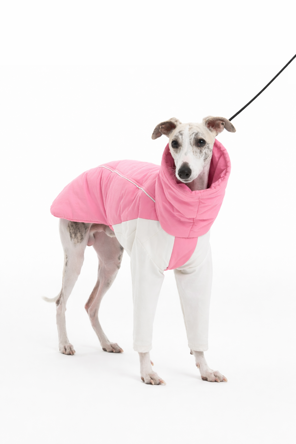 ChatGPT Image Jan 18, 2026, 01_32_13 AM.png