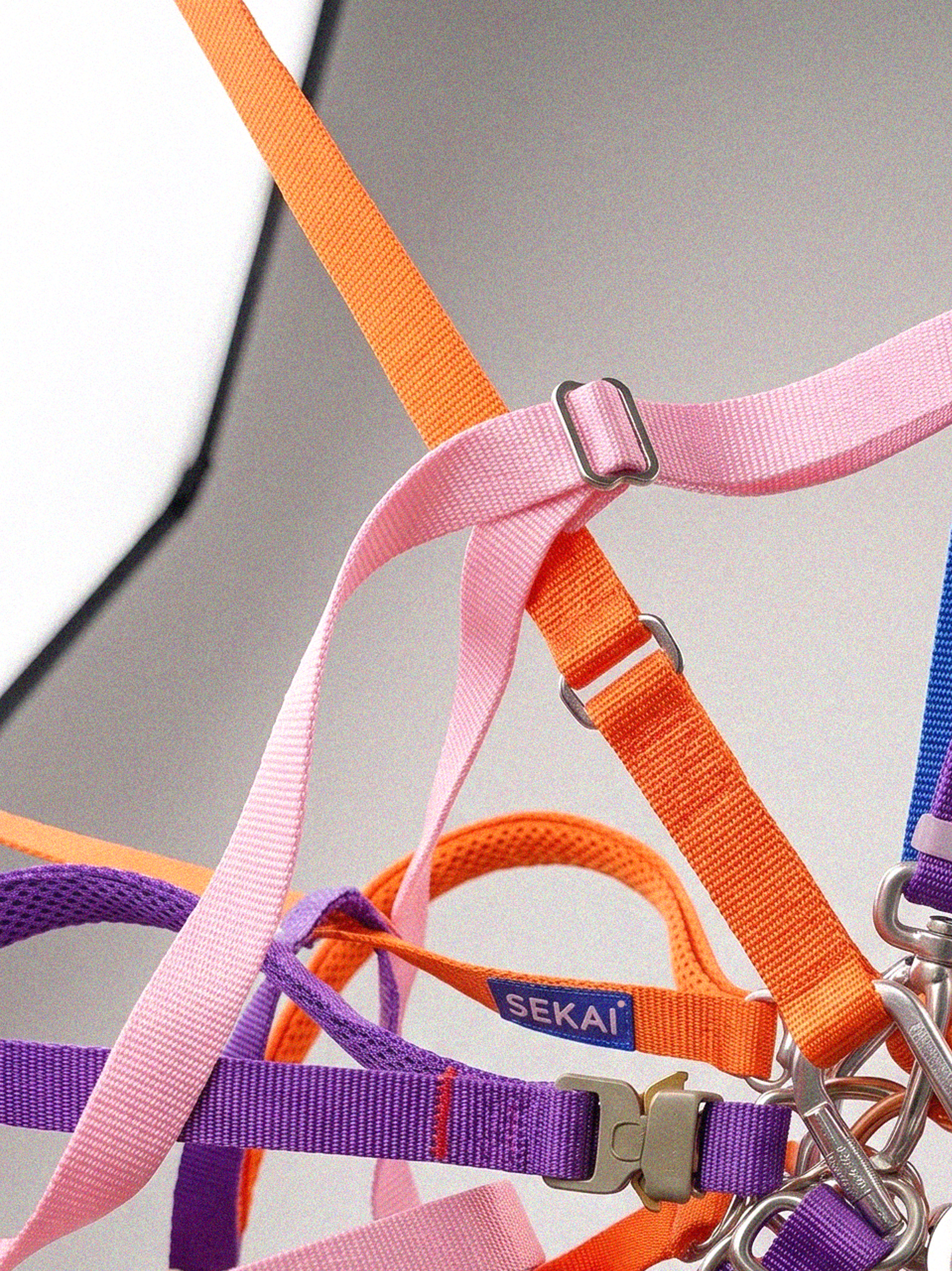 Dog wearing the SEKAIPET Night Violet hands-free technical leash and matching collar with metal locking hardware.