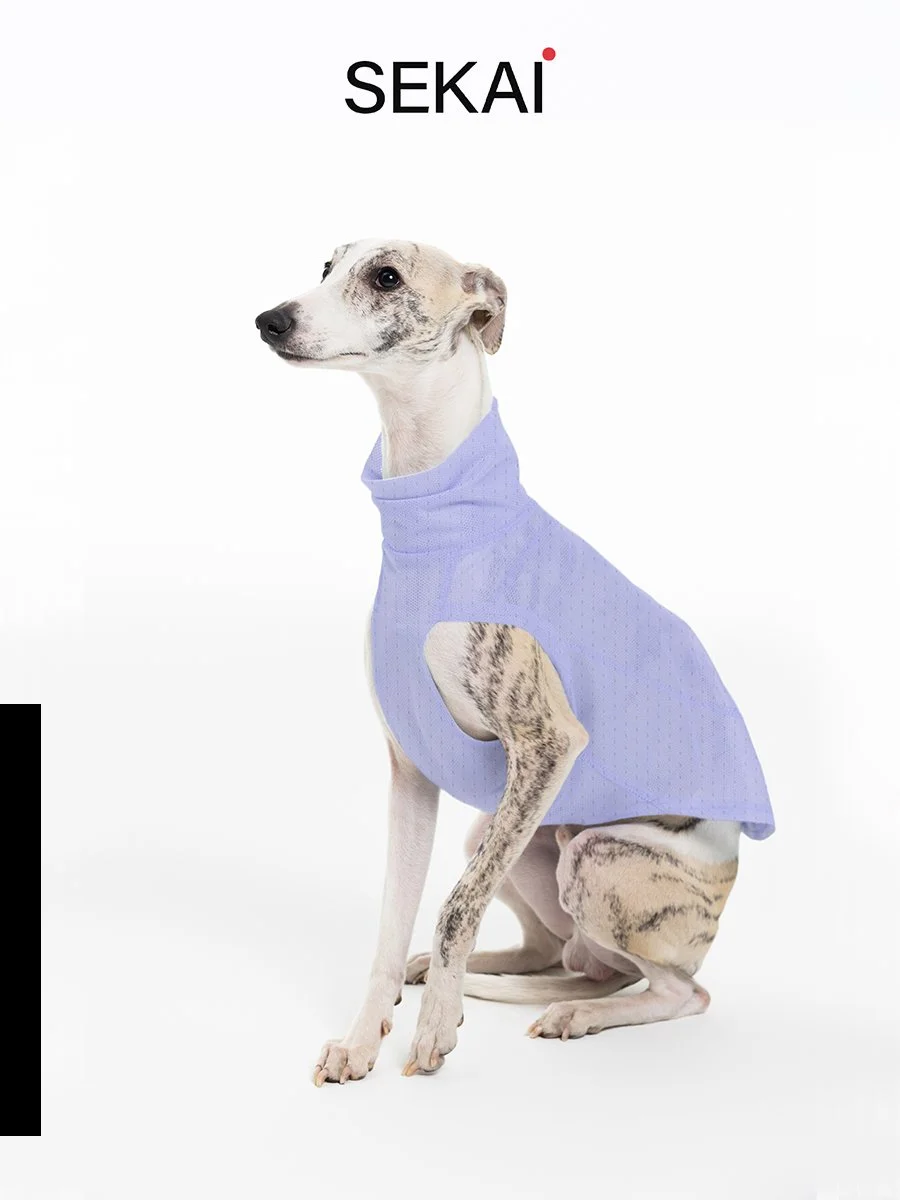 紫色长图01.jpg (Copy)