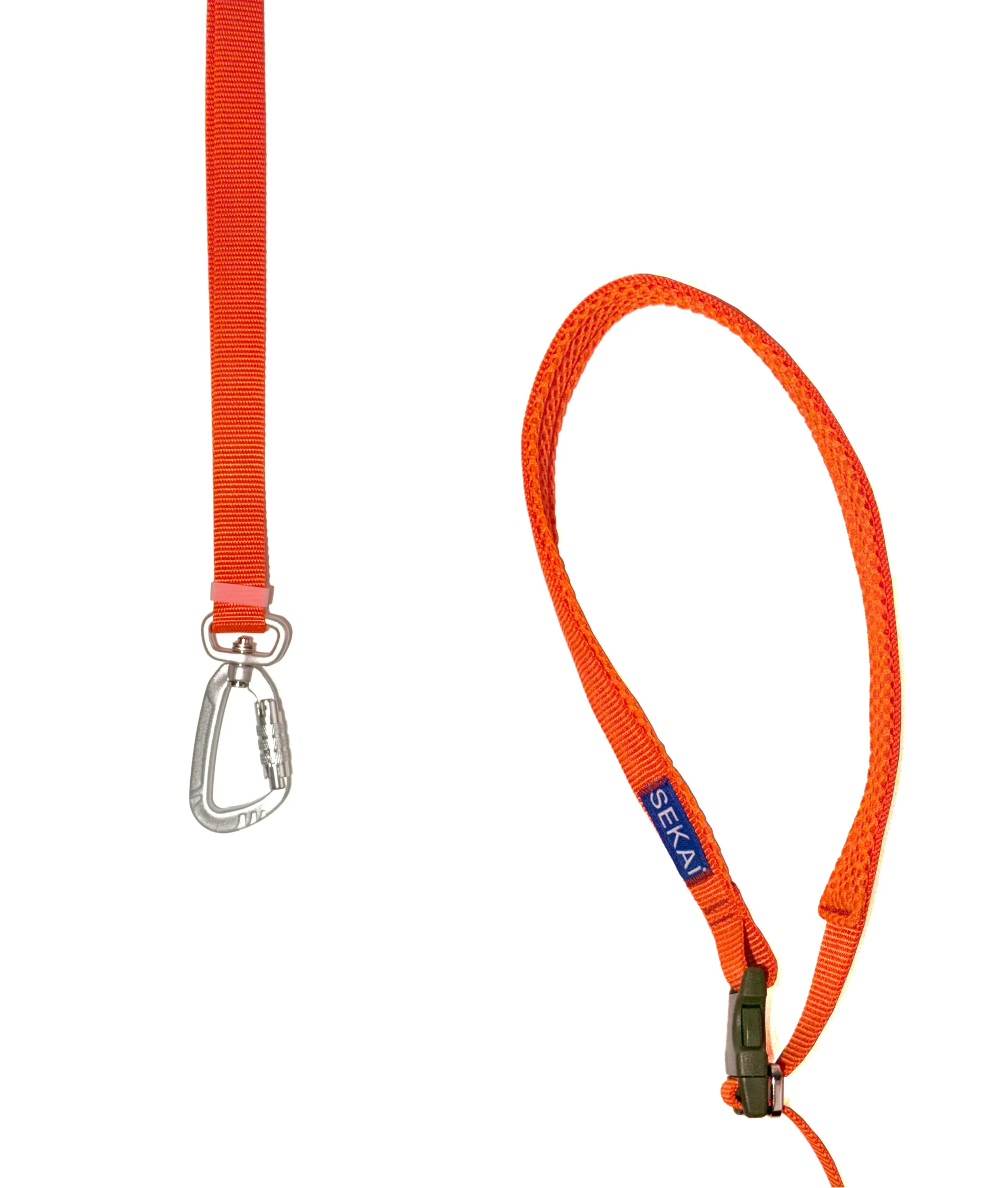 Dog wearing the SEKAIPET Circuit Blue adjustable technical dog leash and matching collar in a clean urban-inspired studio image.