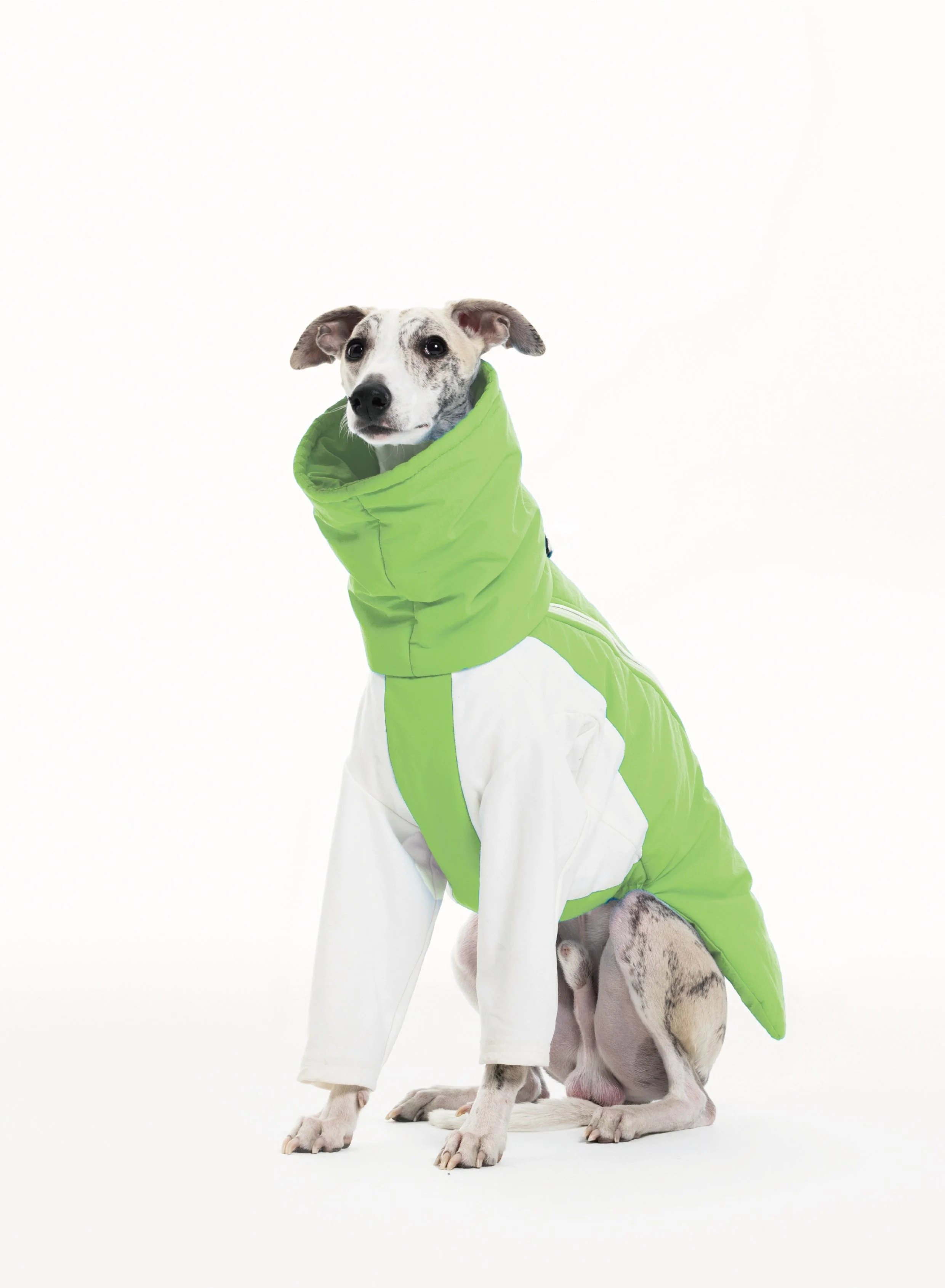 🟥OUTDOOR PLAID - GRAVSHIELD