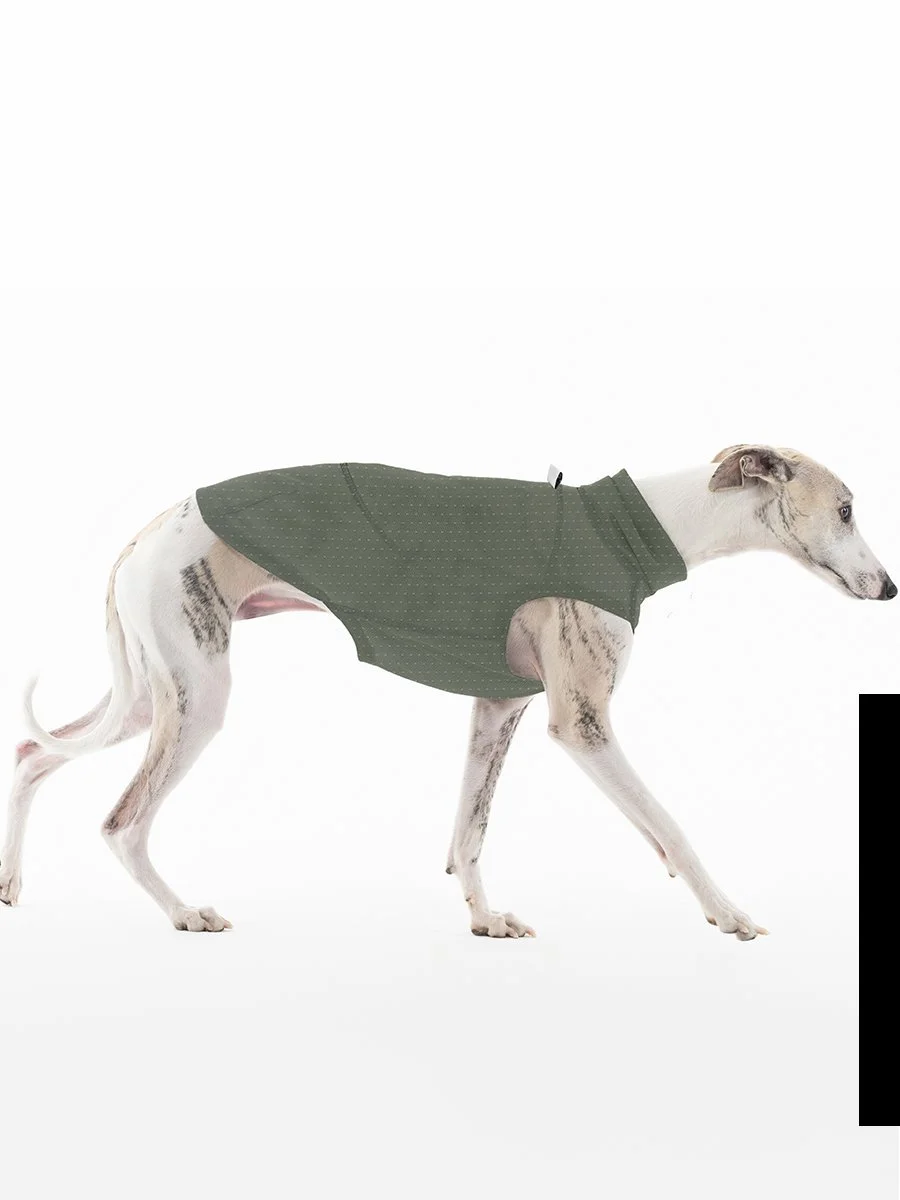 绿色长图04.jpg (Copy)