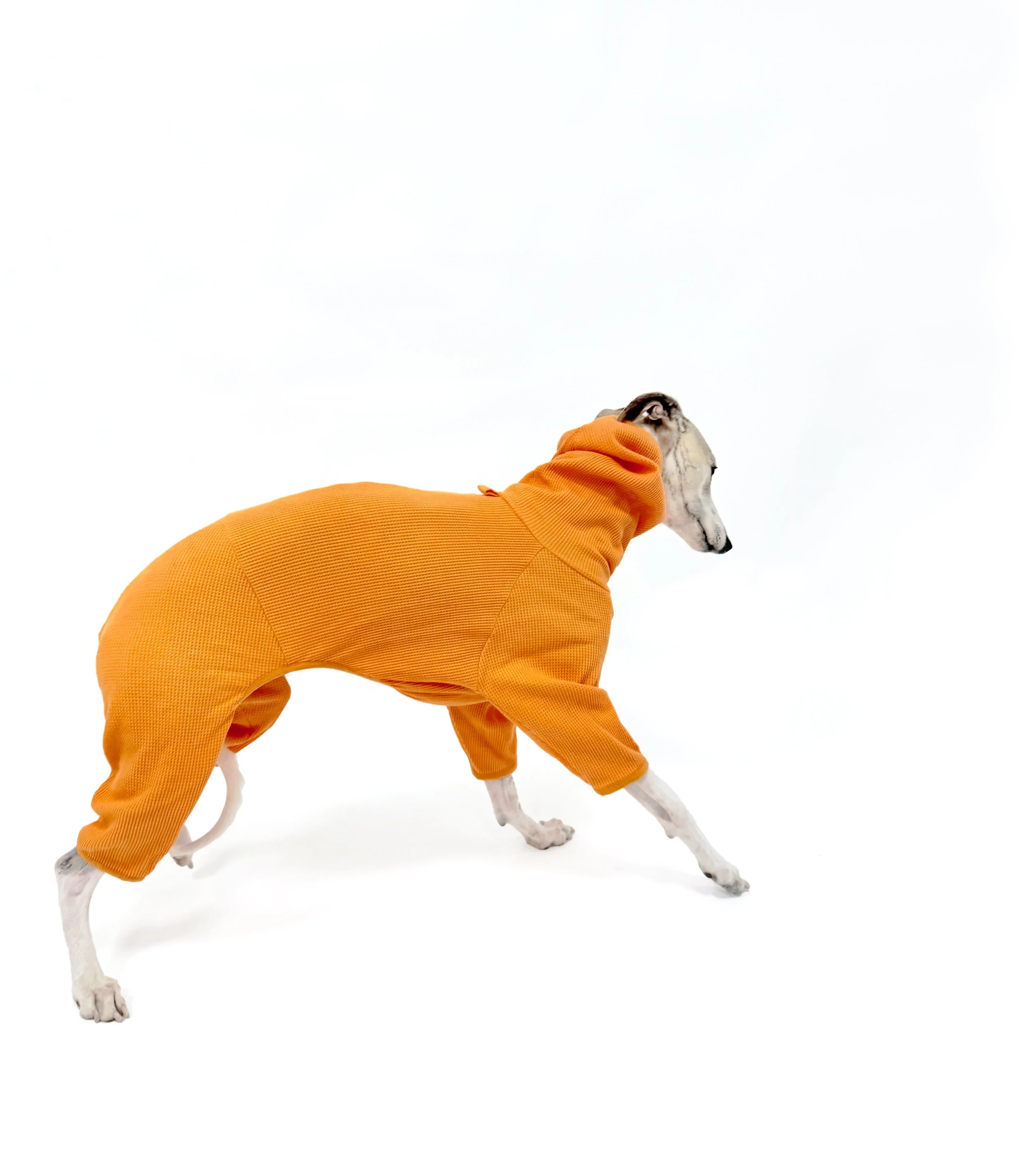 ⬛The Essential Waffle Romper（Clementine）