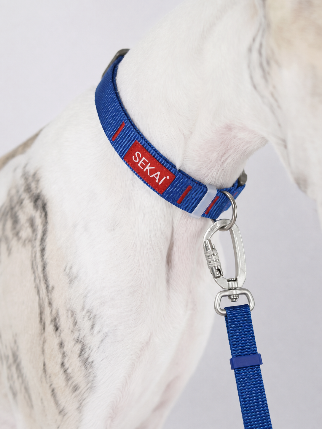 SEKAIPET ESSENTIAL LEASH — CIRCUIT BLUE