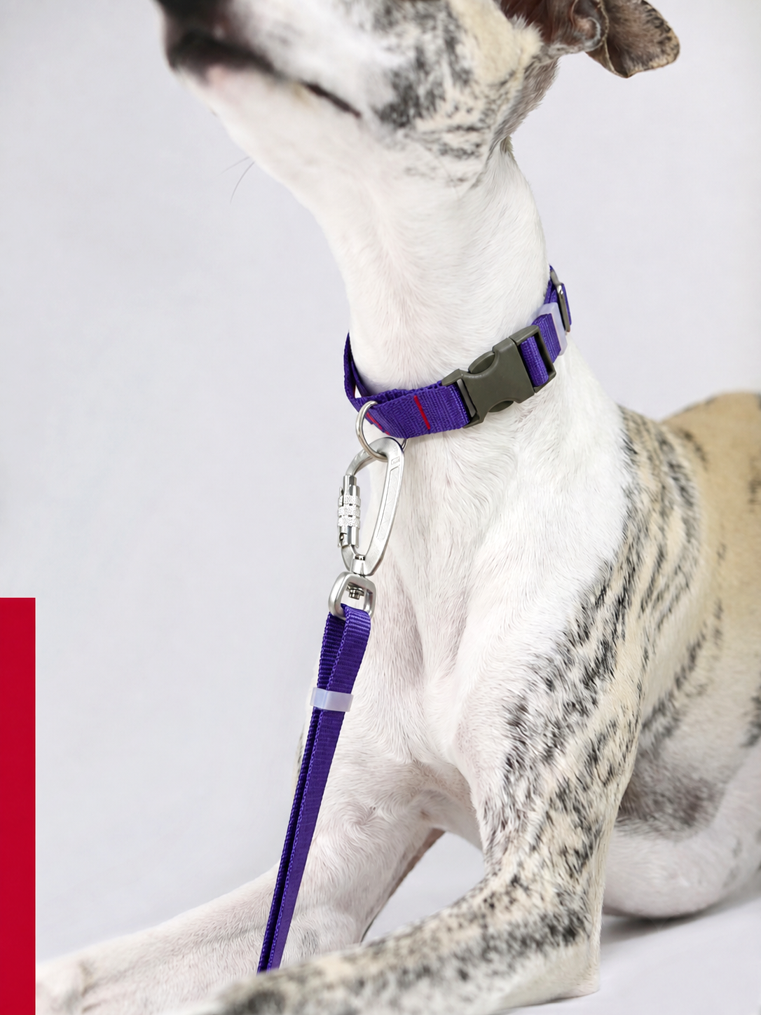 SEKAIPET ESSENTIAL LEASH — NIGHT VIOLET