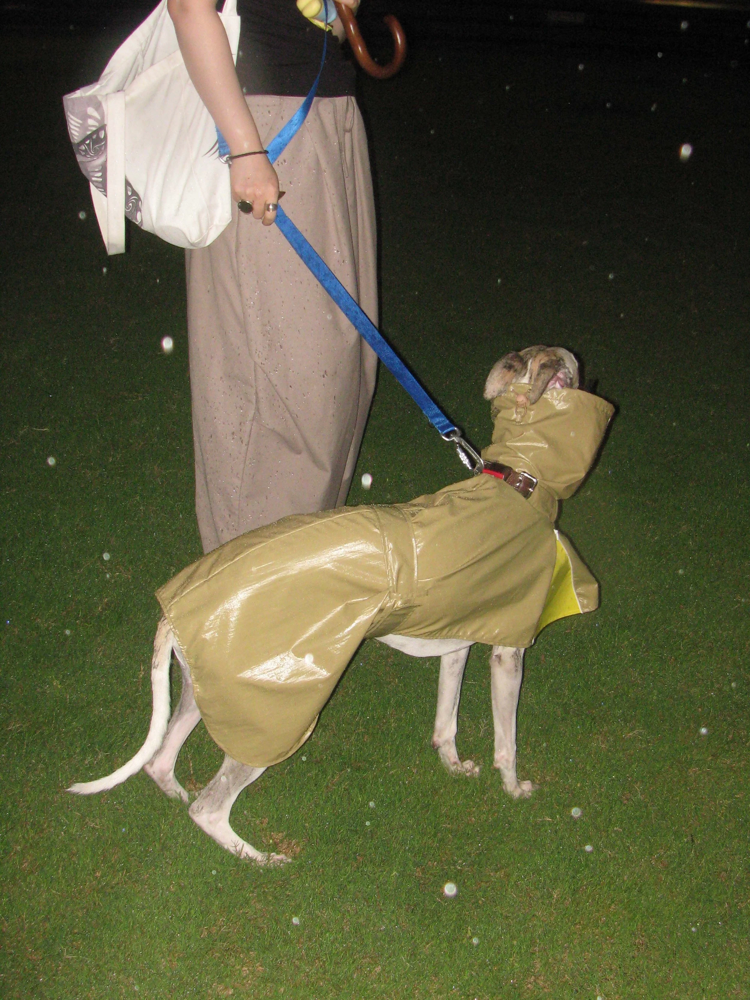 17.JPG