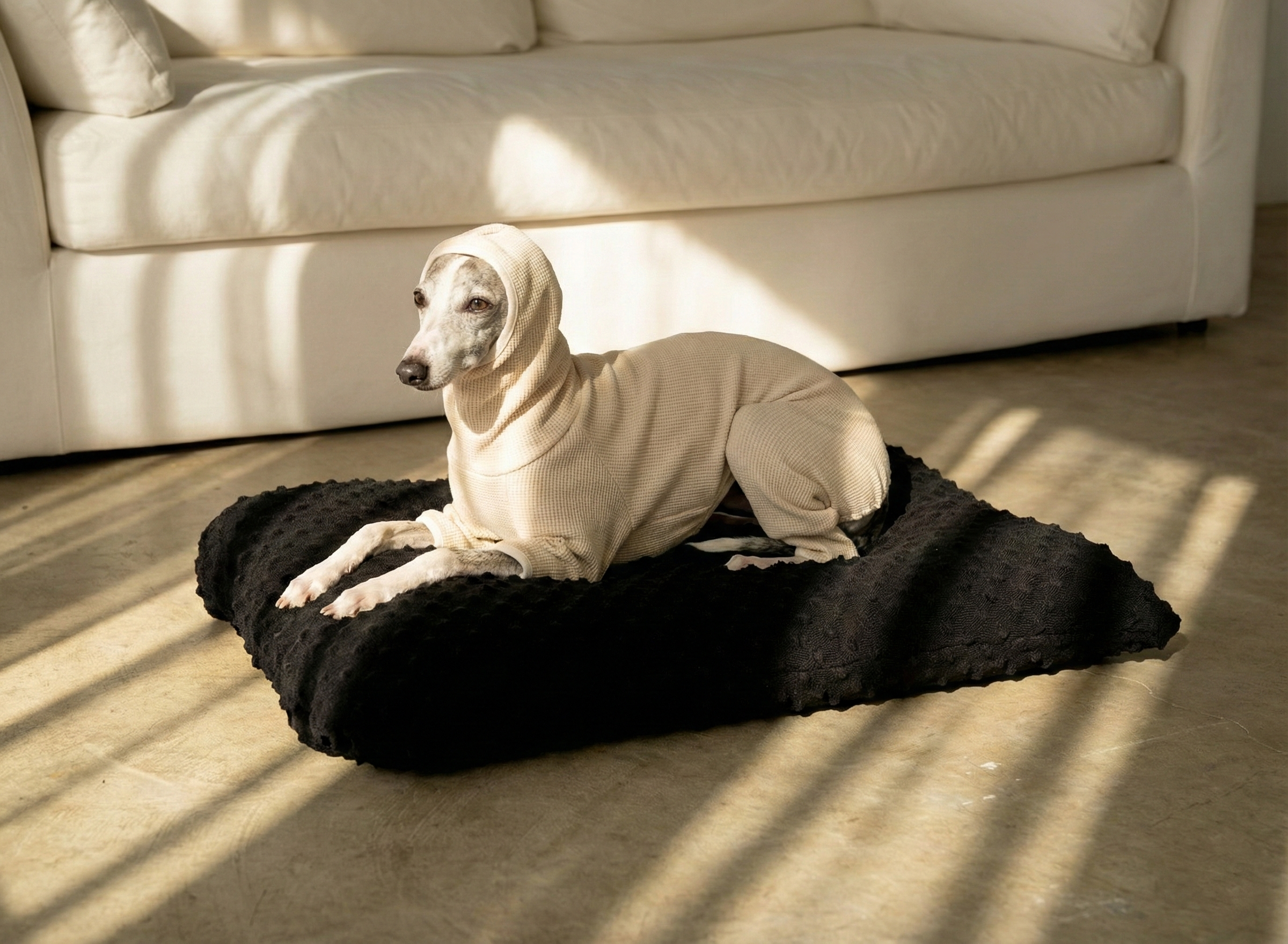 🟦 The Signature Urchin Knit Bed（white)