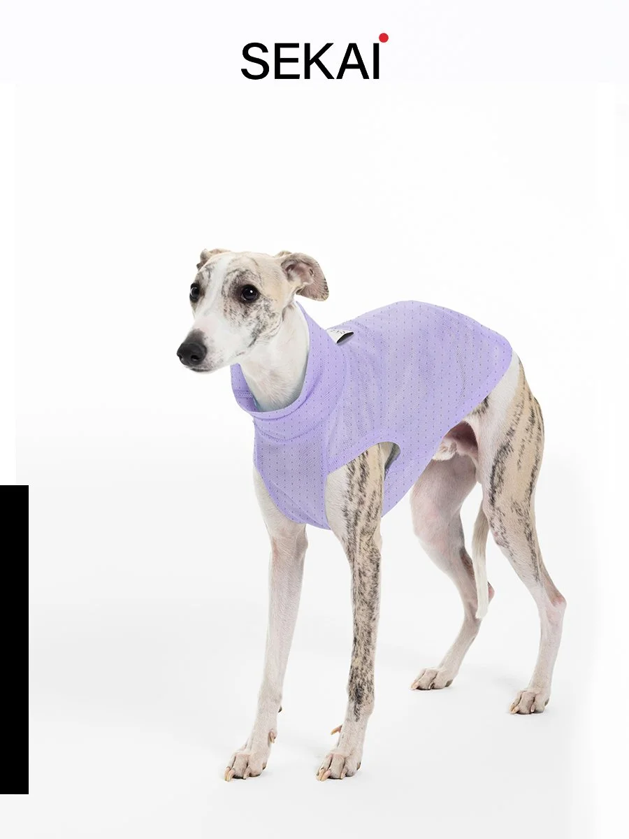 紫色长图03.jpg (Copy)