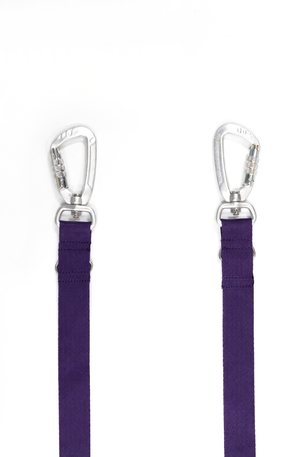 Dog wearing the SEKAIPET Night Violet hands-free technical leash and matching collar with metal locking hardware.