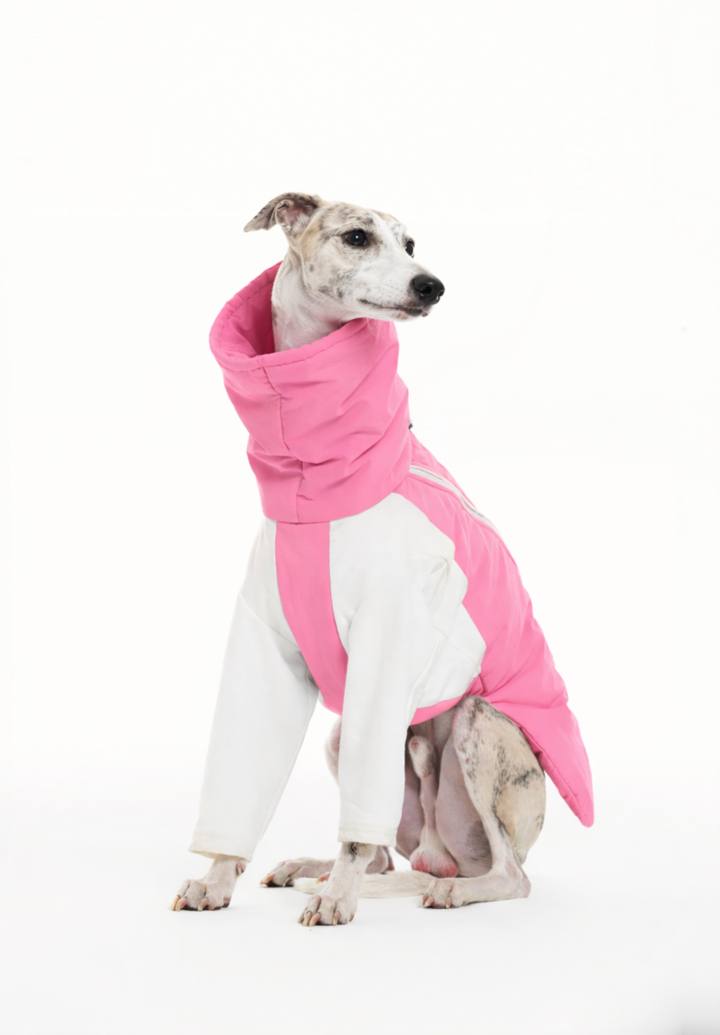 🟥OUTDOOR PLAID - GRAVSHIELD