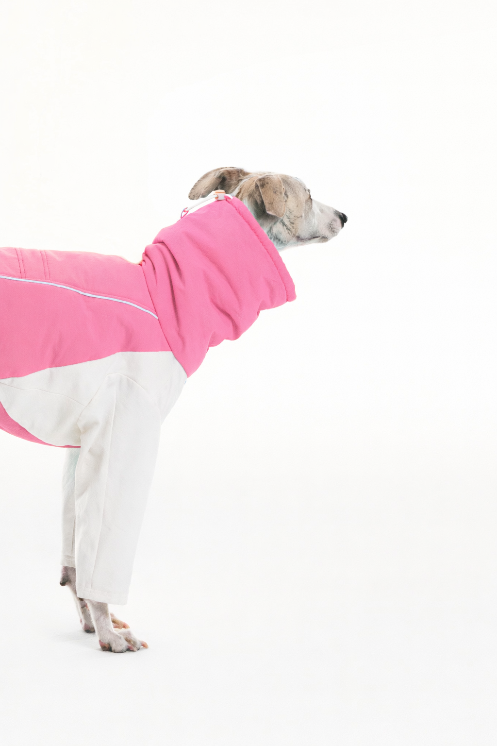 ChatGPT Image Jan 18, 2026, 01_24_58 AM.png