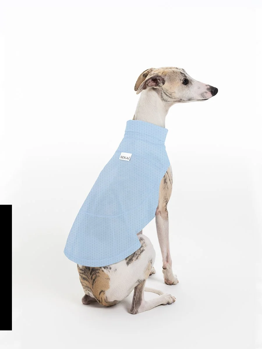 蓝色长图05.jpg (Copy)