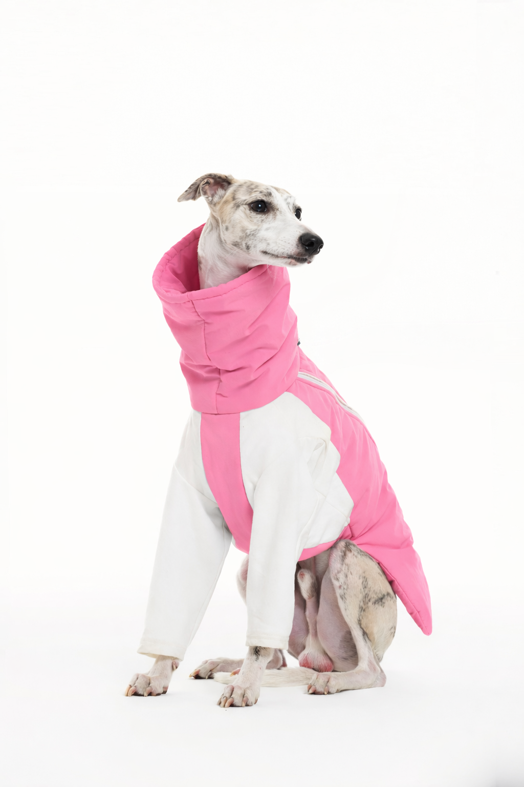 ChatGPT Image Jan 18, 2026, 03_30_13 AM.png