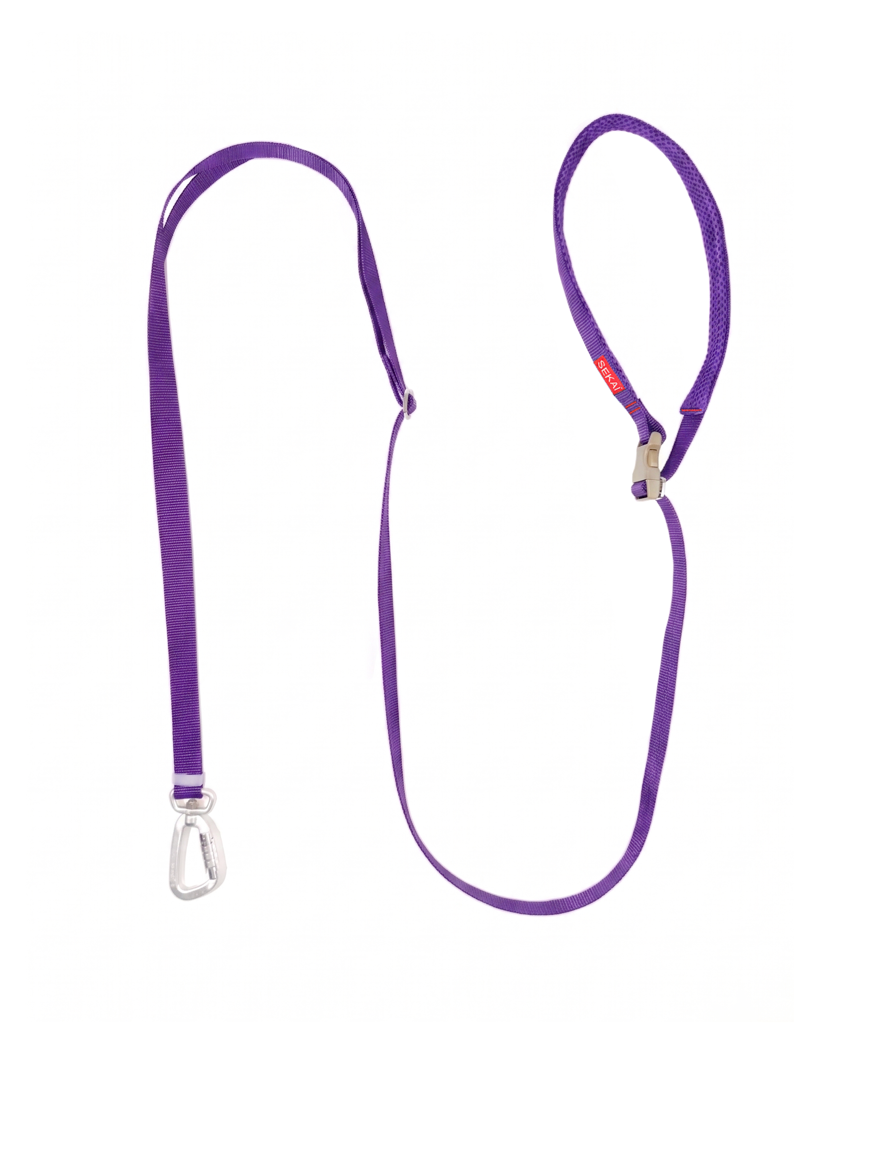 Dog wearing the SEKAIPET Night Violet hands-free technical leash and matching collar with metal locking hardware.