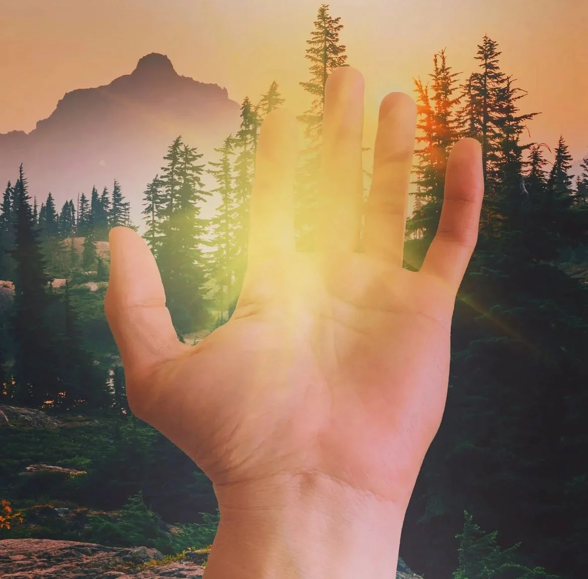 1:1 Coaching 3 Sessions