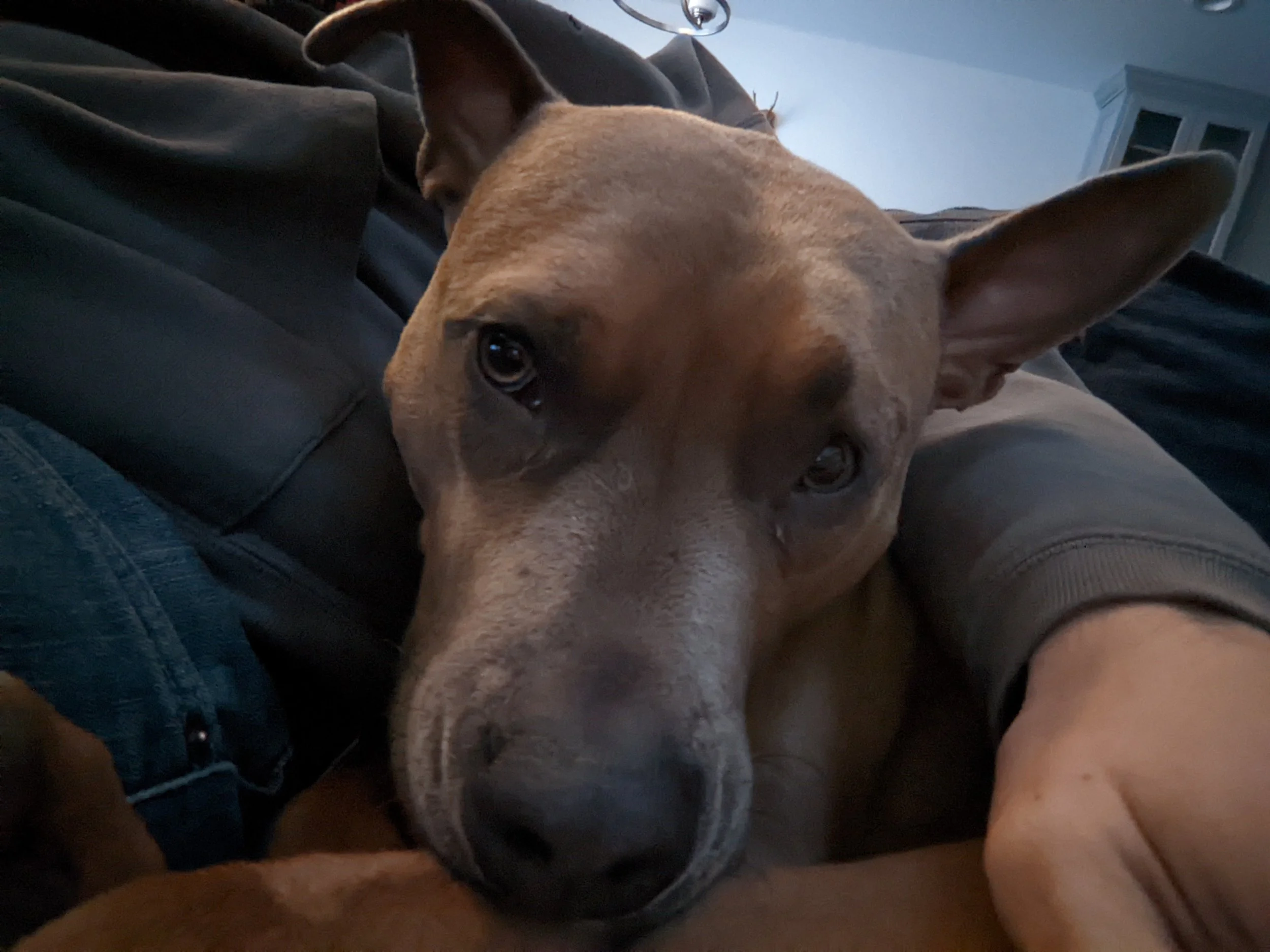 Connected Guided Meditation and Workbook