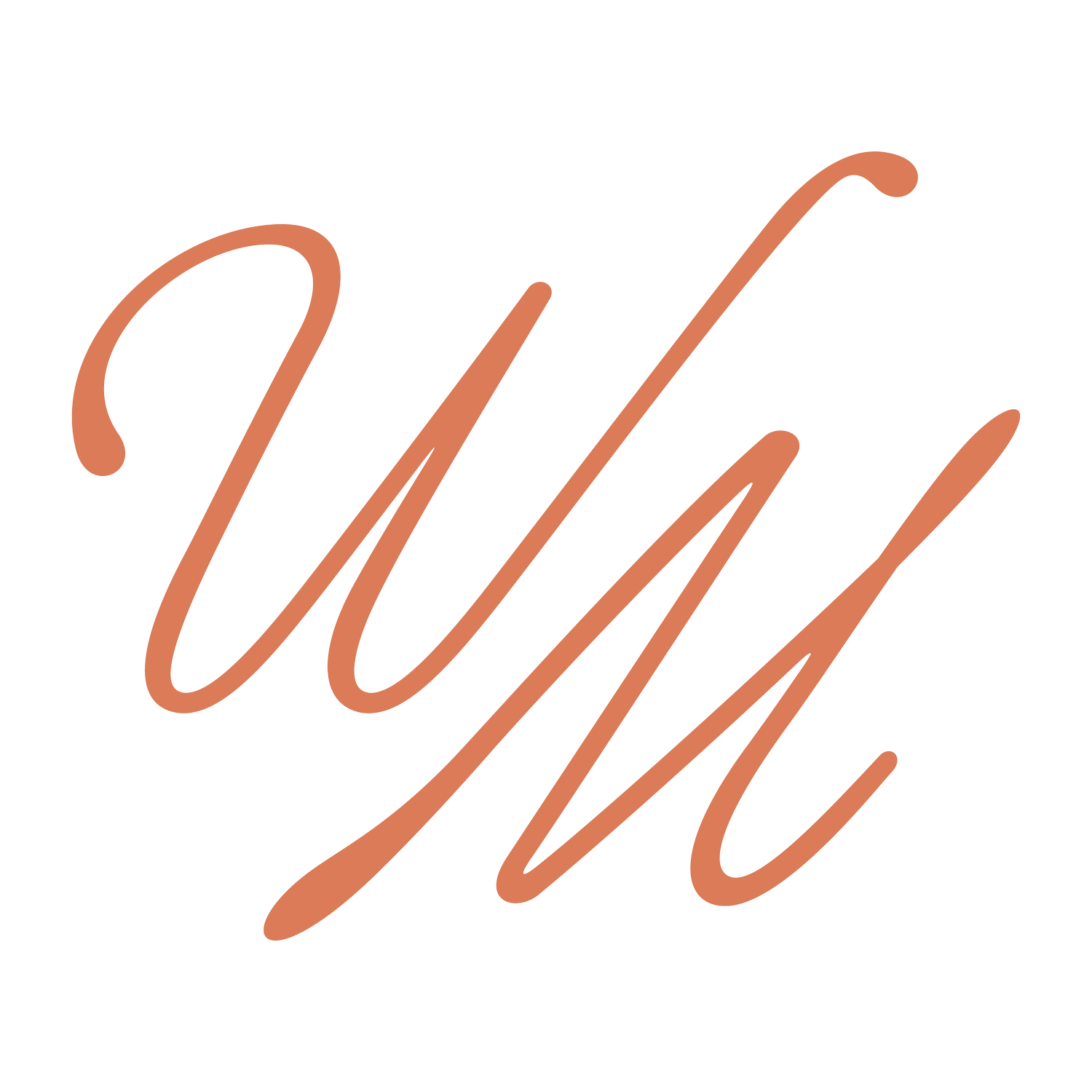 Wild Mango Event Co.