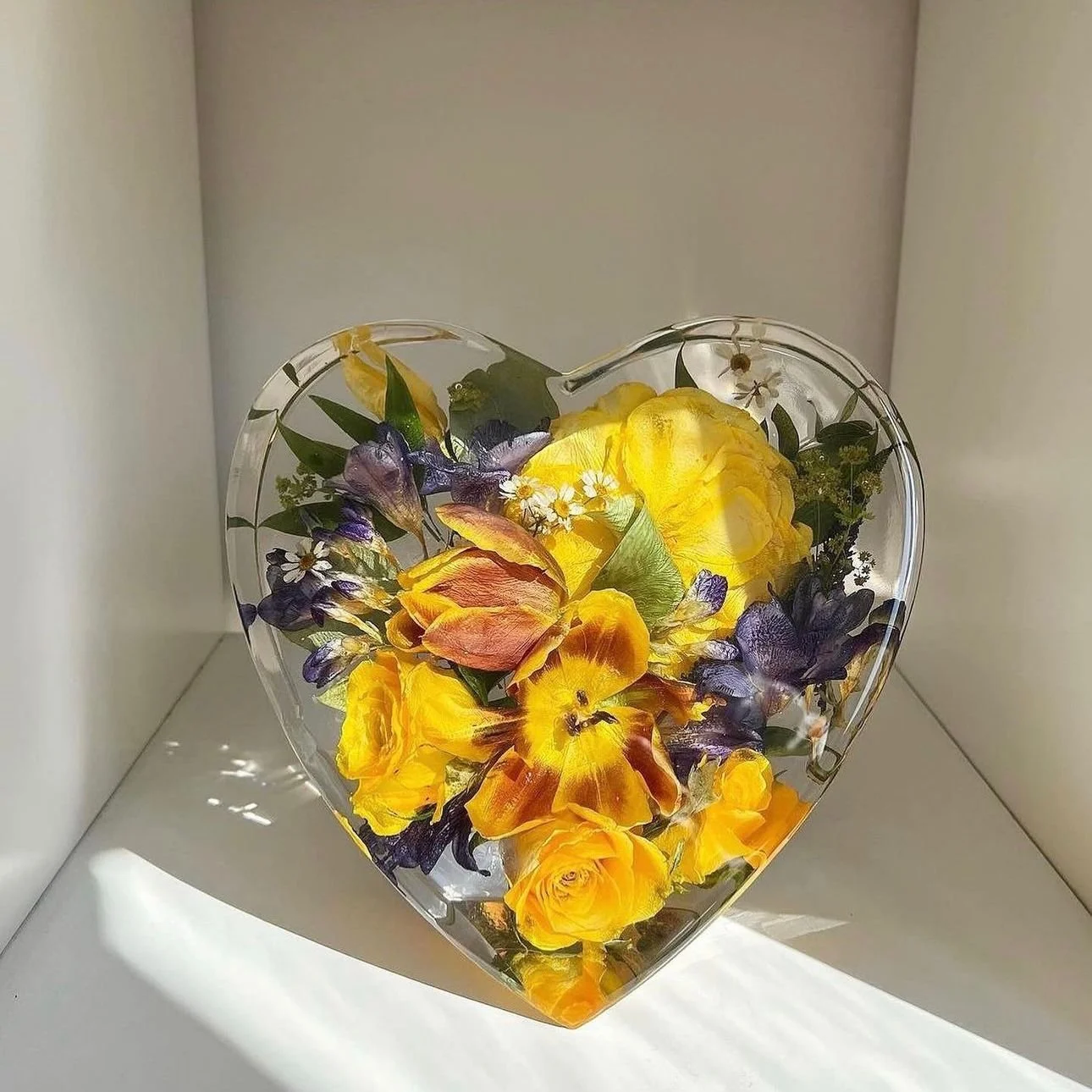 WhatsApp Image 2024-06-14 at 16.35.21.jpeg