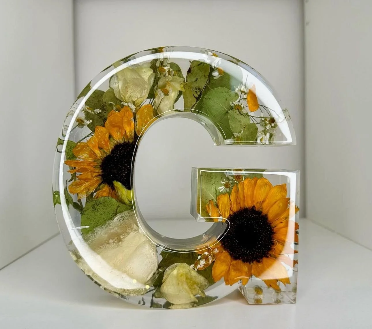 WhatsApp Image 2024-02-23 at 15.14.57.jpeg