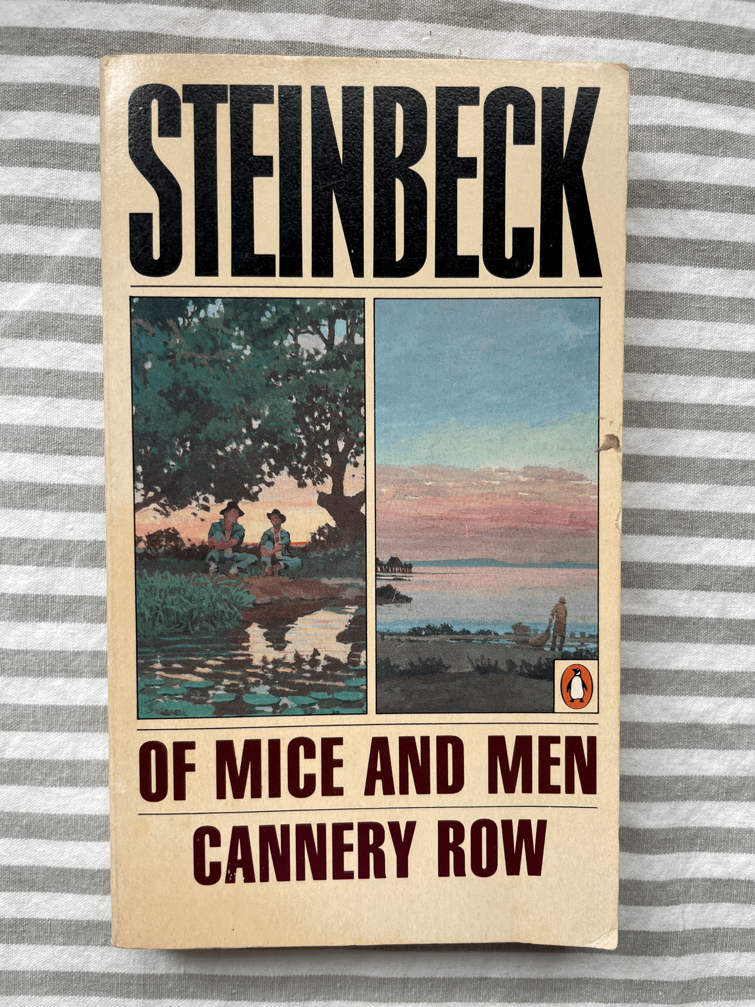 Of Mice and Men' and 'Cannery Row', John Steinbeck