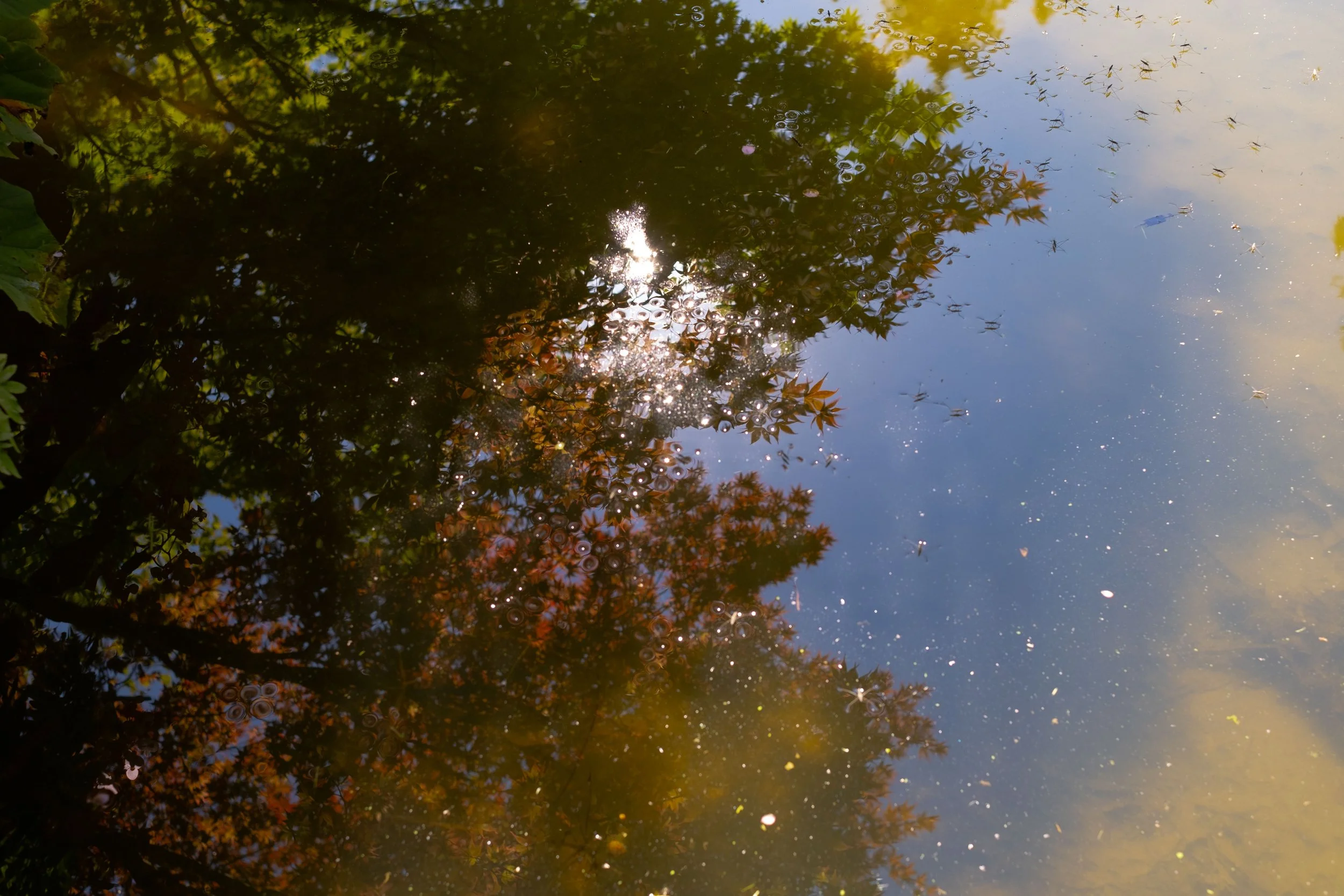 (24) Lake Como, Italy