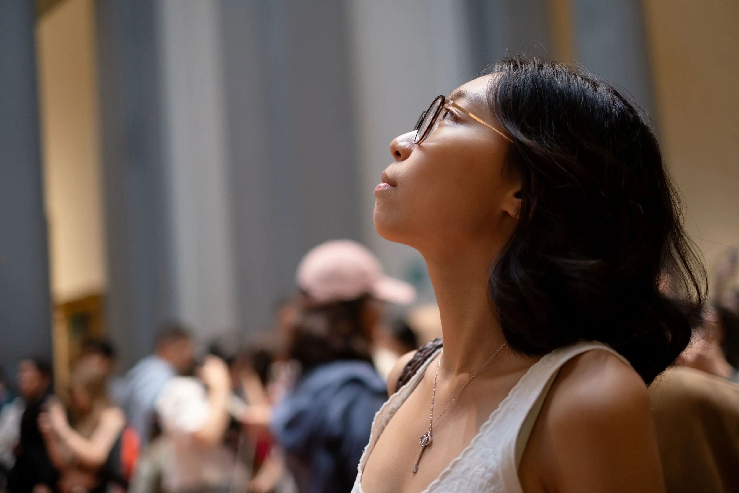 (77) Galleria dell'Accademia di Firenze