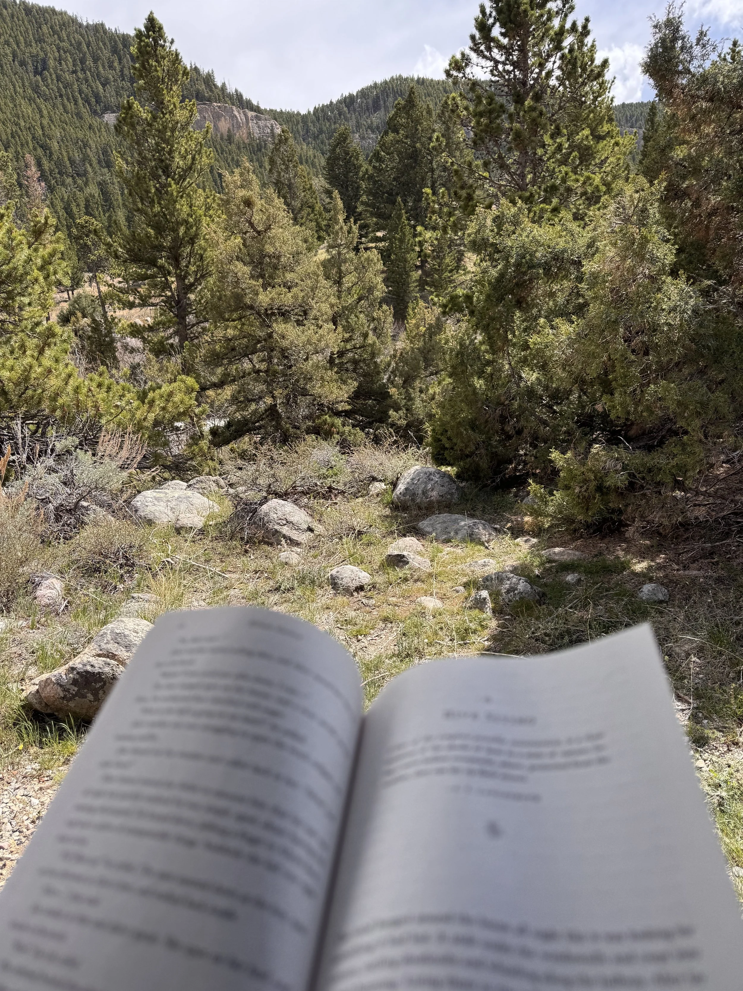 Shaylee, founder of Glow Sis Social, reading outdoors in Wyoming