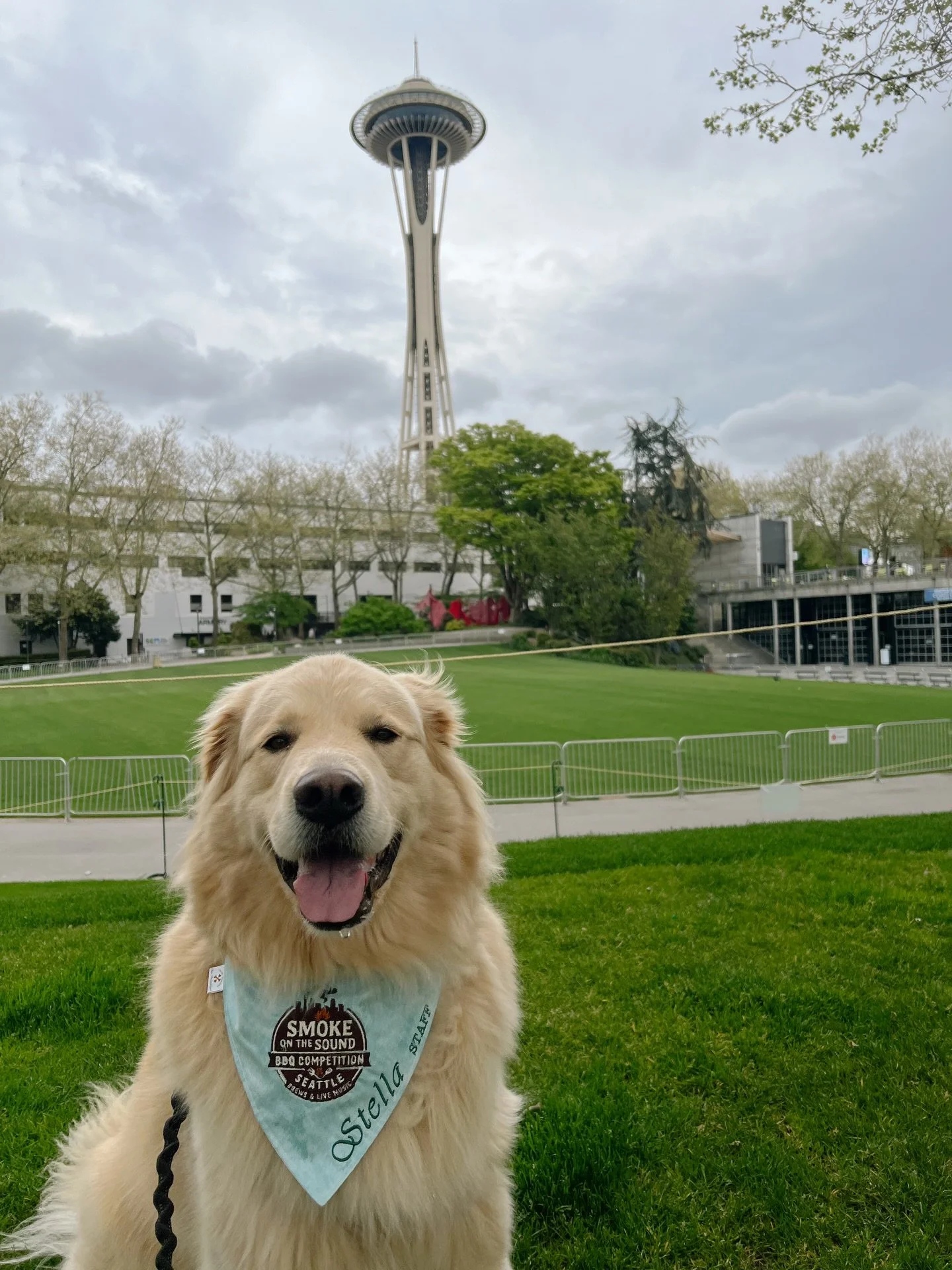 Stella has officially joined the Smoke on the Sound staff and she&rsquo;s taking her role very seriously. She&rsquo;s also the first to get her paws on some merch &mdash; and yes, we&rsquo;ll be making more for the humans too. 🐾🌲 

#smokeonthesound