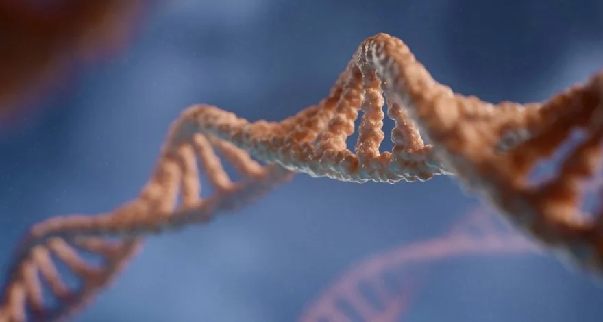 Step-by-Step Guide to Genetic Donation