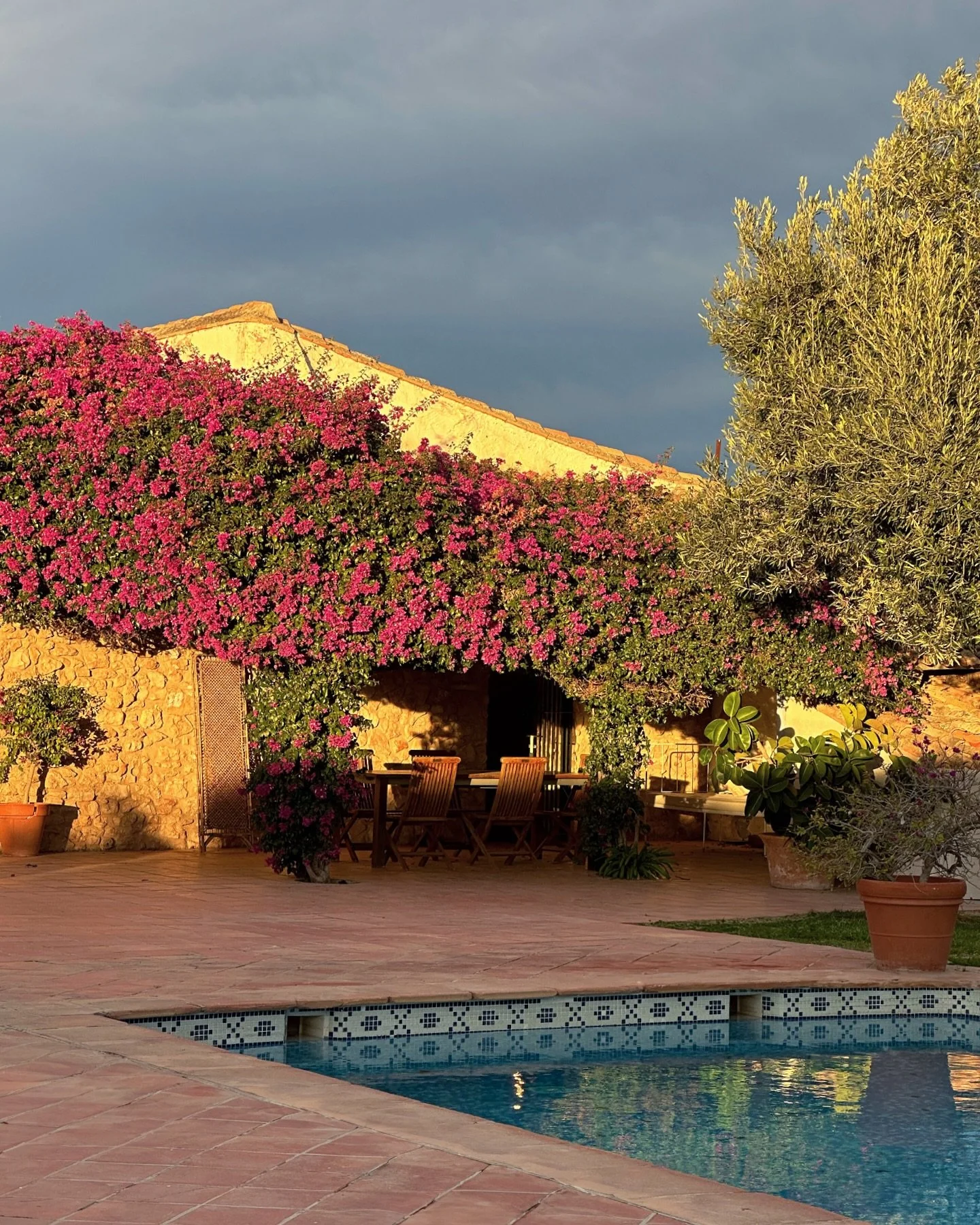 ✻ As we wrap up the year, we&rsquo;ve been busy scouting for the new amazing wedding locations for 2026/2027 in the region ~we have seen amazing mas&iacute;as, fincas, and alquer&iacute;as ~ perfect for both grand celebrations and intimate gatherings